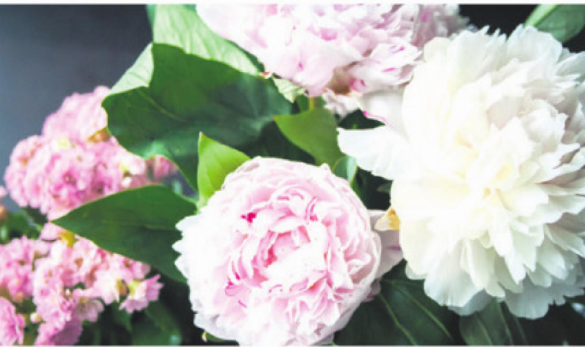 ZIVILSTANDSNACHRICHTEN - Das Bild wird blockiert. – Möglicherweise durch einen aktiven Adblocker.