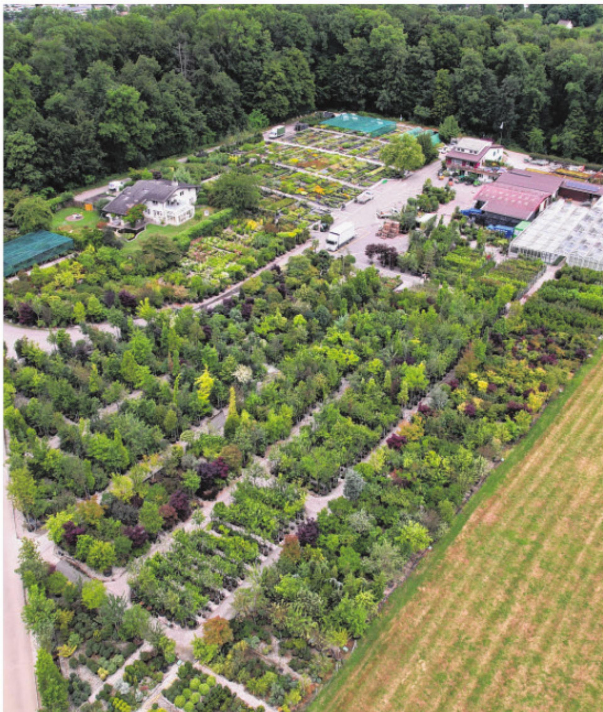 Private und öffentliche Oasen - Das Bild wird blockiert. – Möglicherweise durch einen aktiven Adblocker.