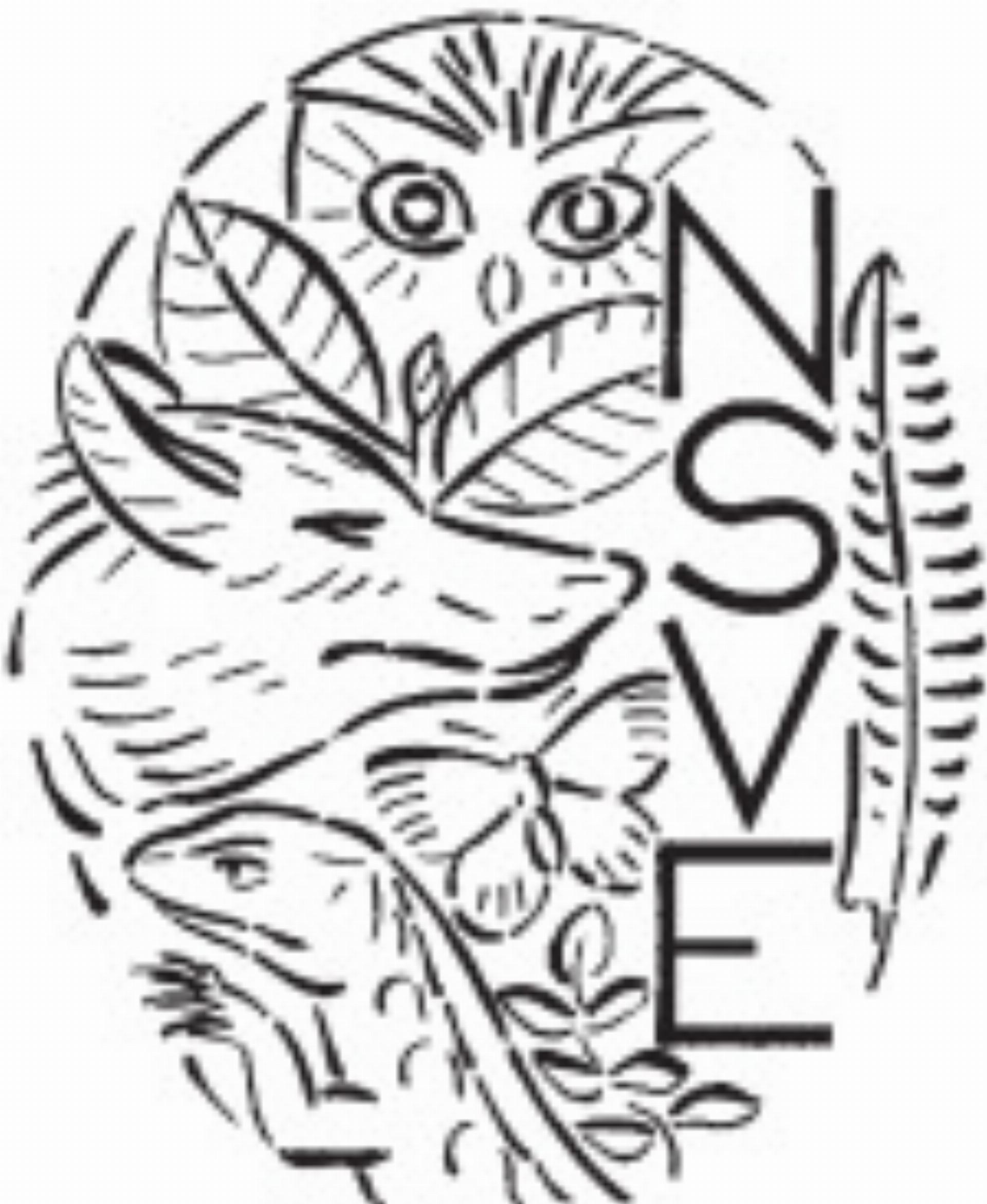 Nistkästen für Mauersegler an der katholischen Kirche Ettingen - Das Bild wird blockiert. – Möglicherweise durch einen aktiven Adblocker.