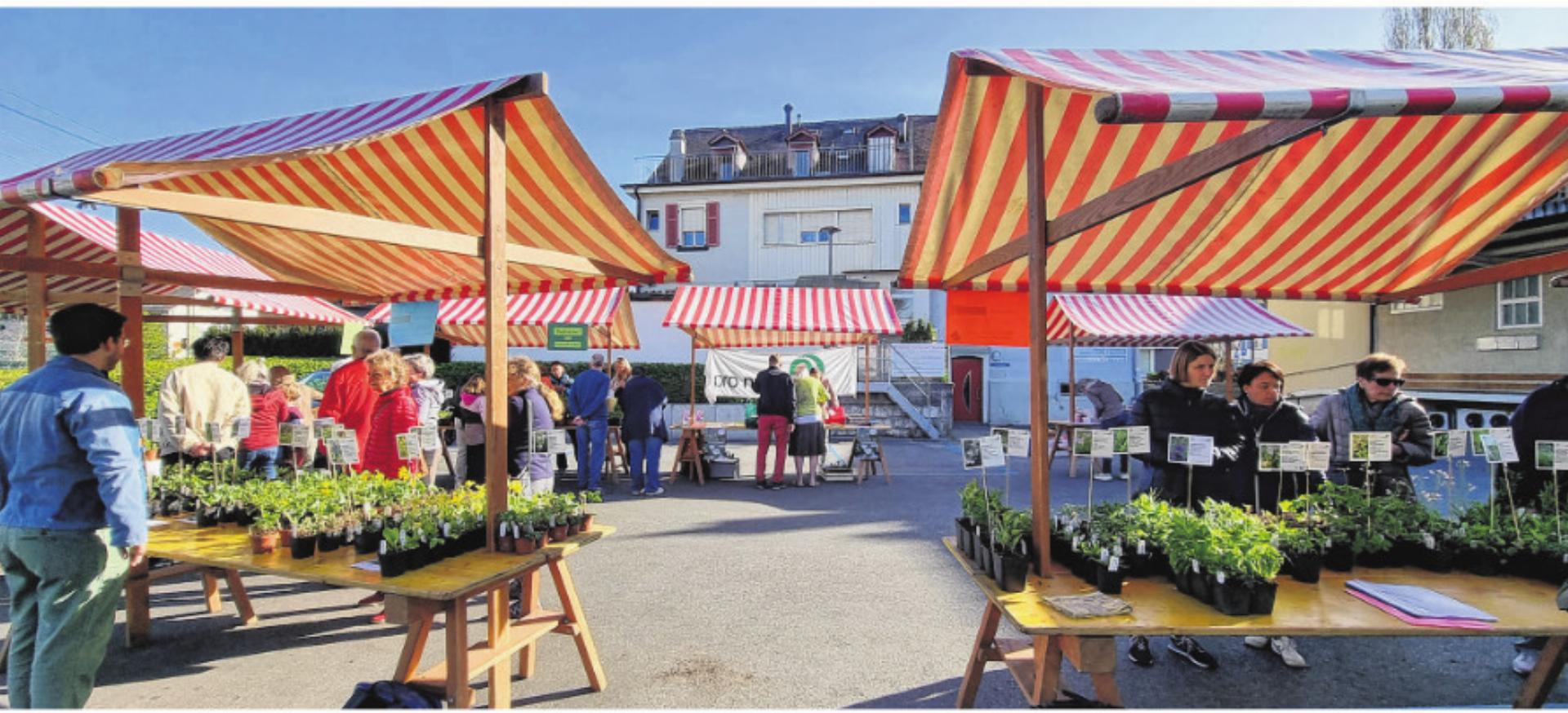 Fünfter Wildpflanzen- und Kräutermarkt in Bottmingen - Das Bild wird blockiert. – Möglicherweise durch einen aktiven Adblocker.