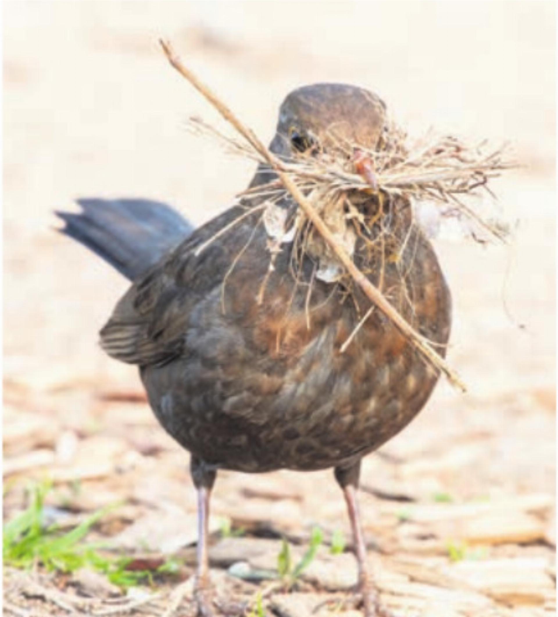 Fünf Tage voller Naturerlebnisse - Das Bild wird blockiert. – Möglicherweise durch einen aktiven Adblocker.
