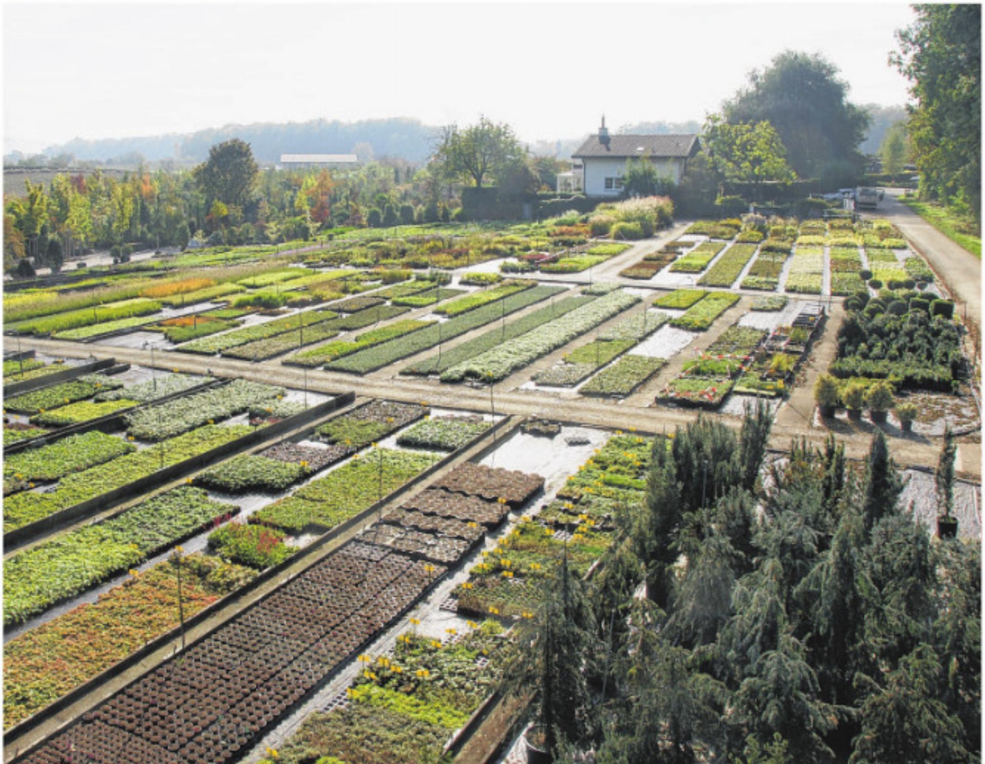 Oasen vor der Haustür - Das Bild wird blockiert. – Möglicherweise durch einen aktiven Adblocker.
