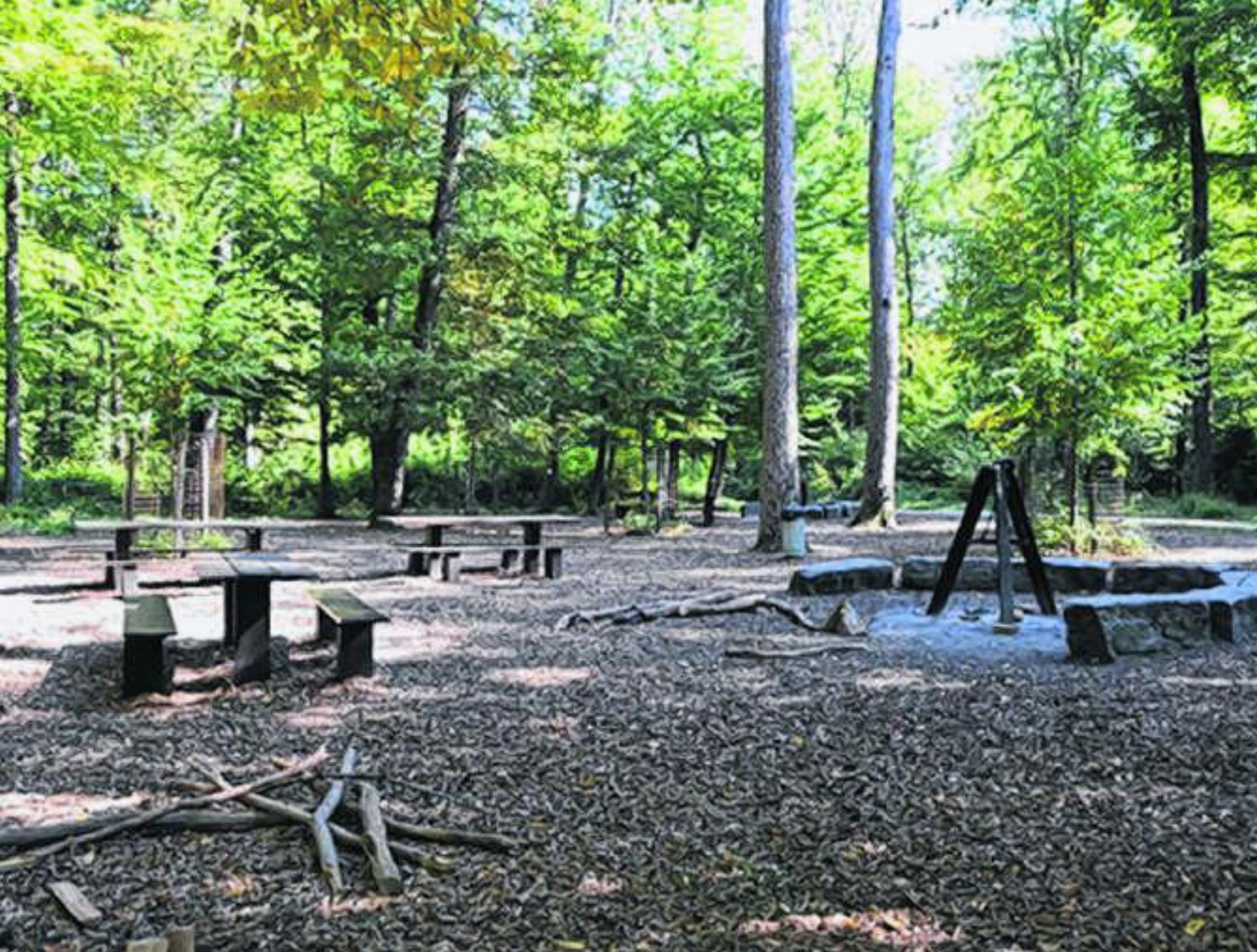 Veranstaltungen im Wald