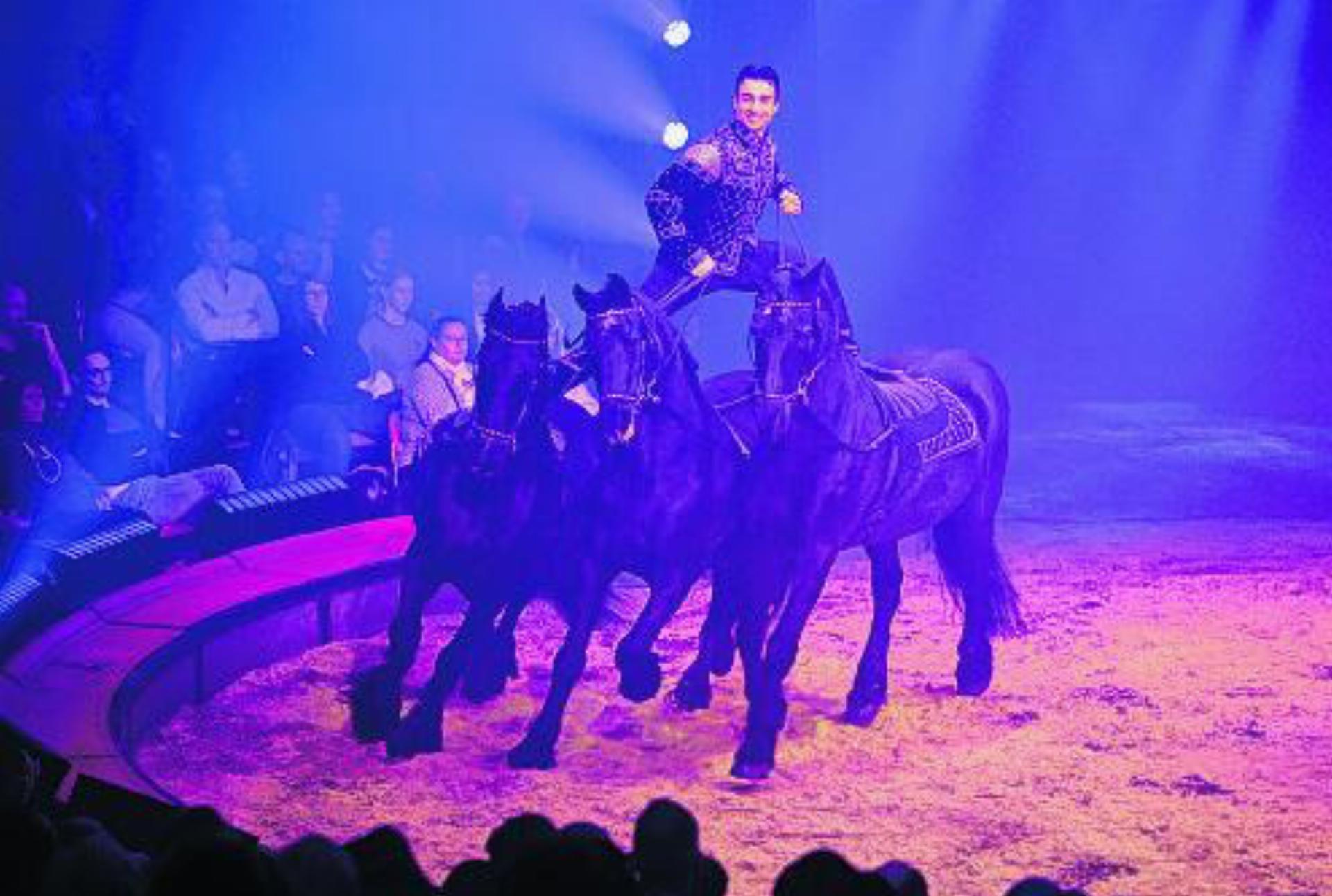 Circus Knie – It’s magical!