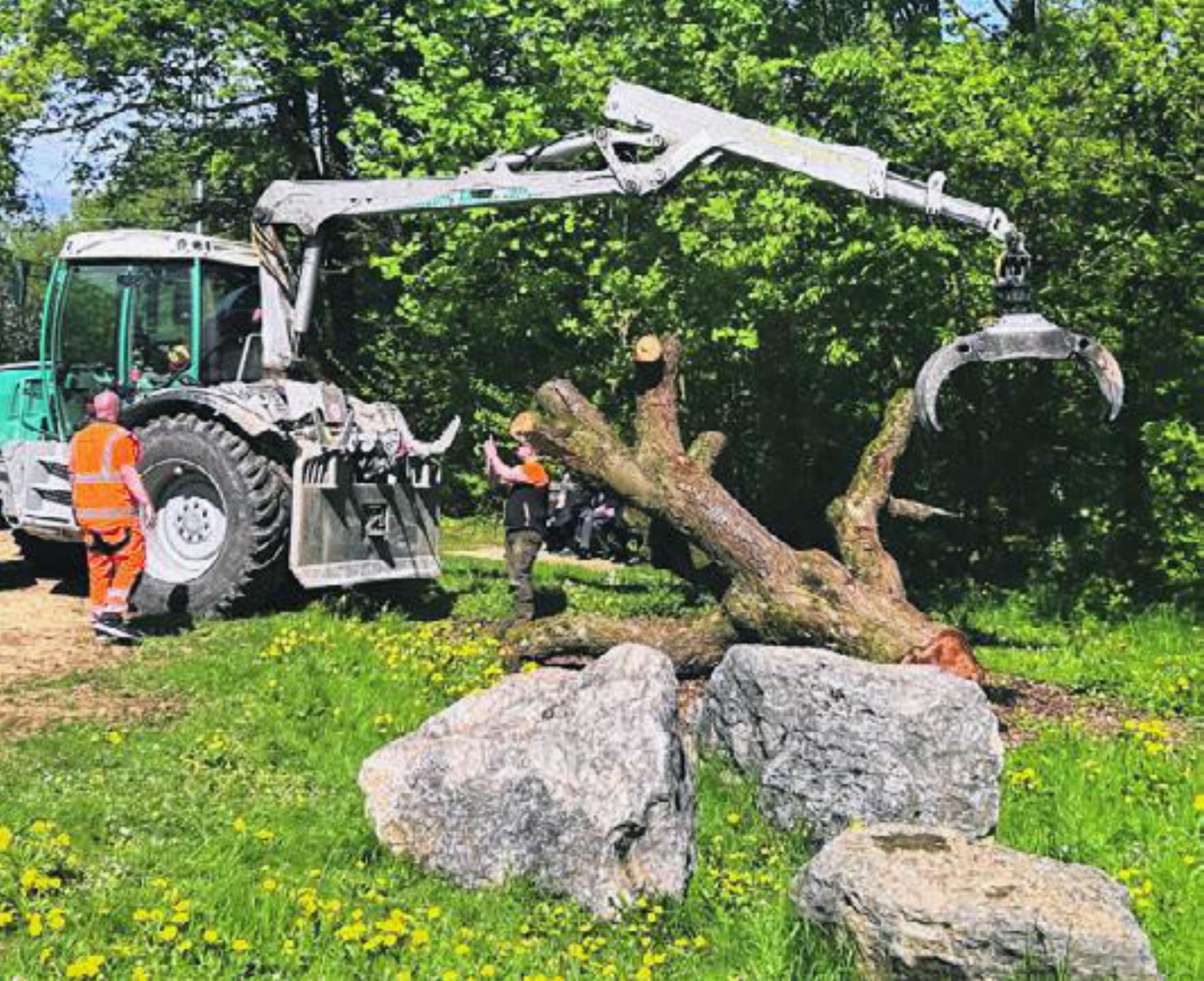 Für kleine Kletterprofis