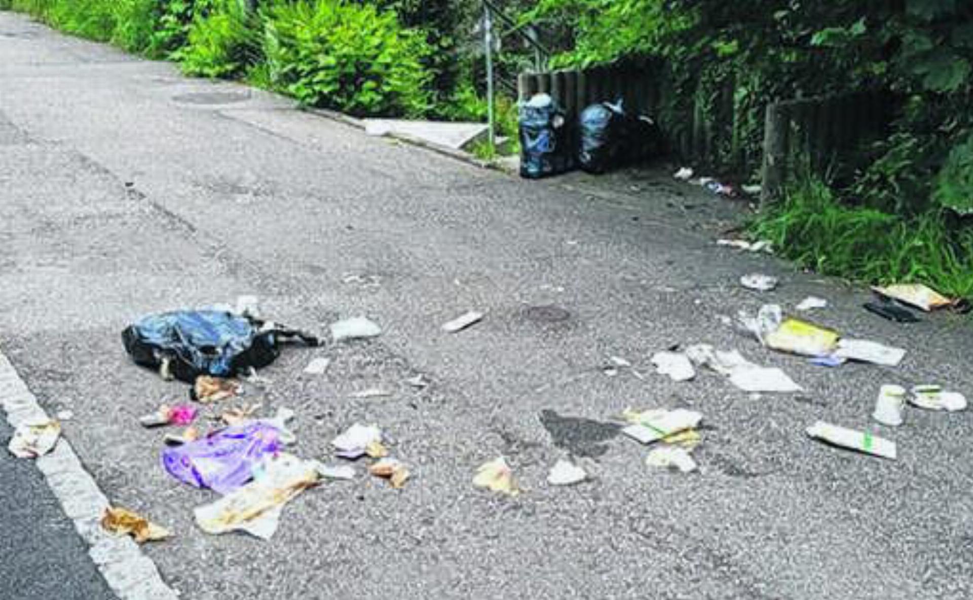 Abfall nicht zu früh bereitstellen