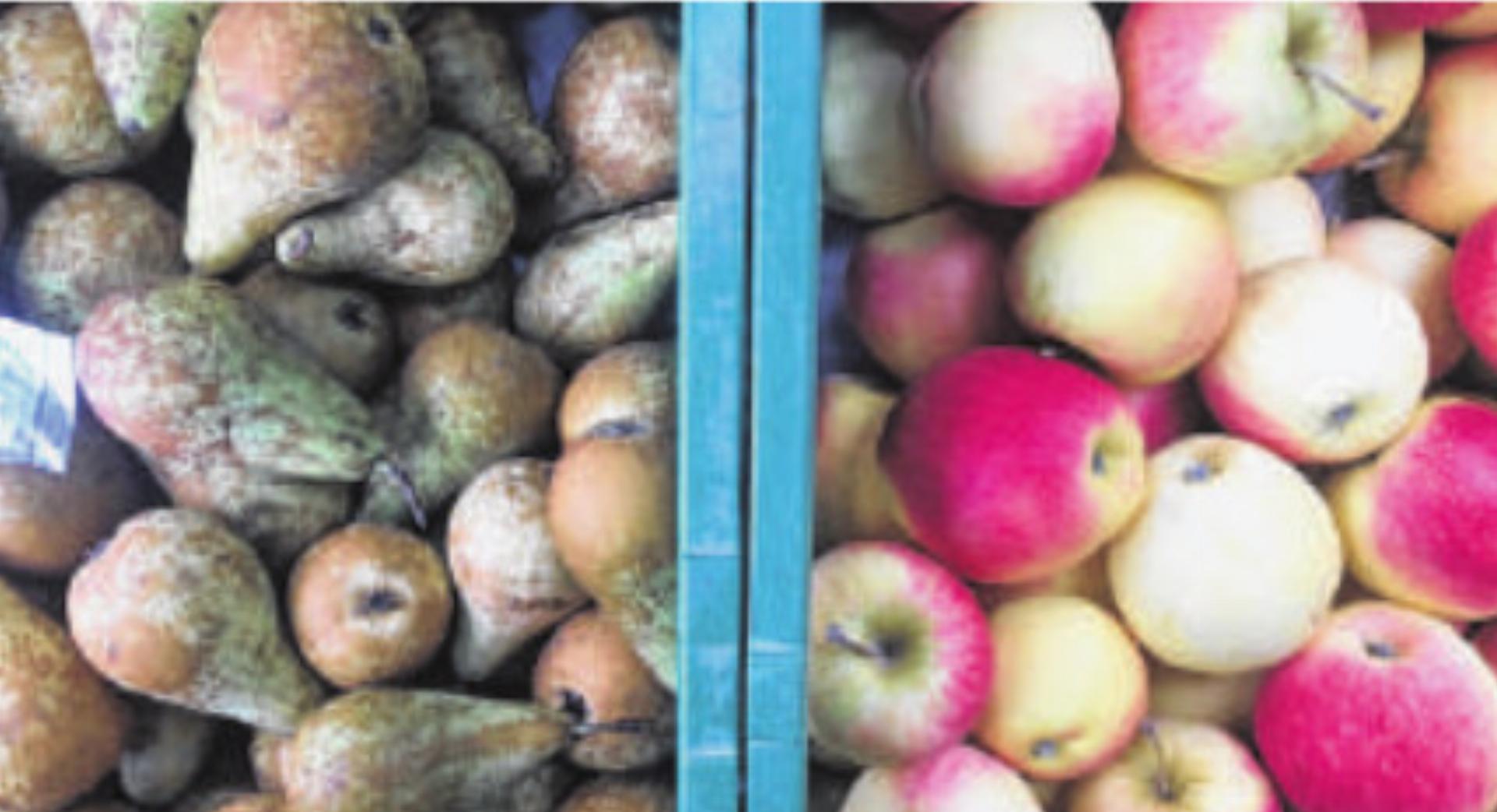 Geschenke, Obst und Gemüse - Das Bild wird blockiert. – Möglicherweise durch einen aktiven Adblocker.