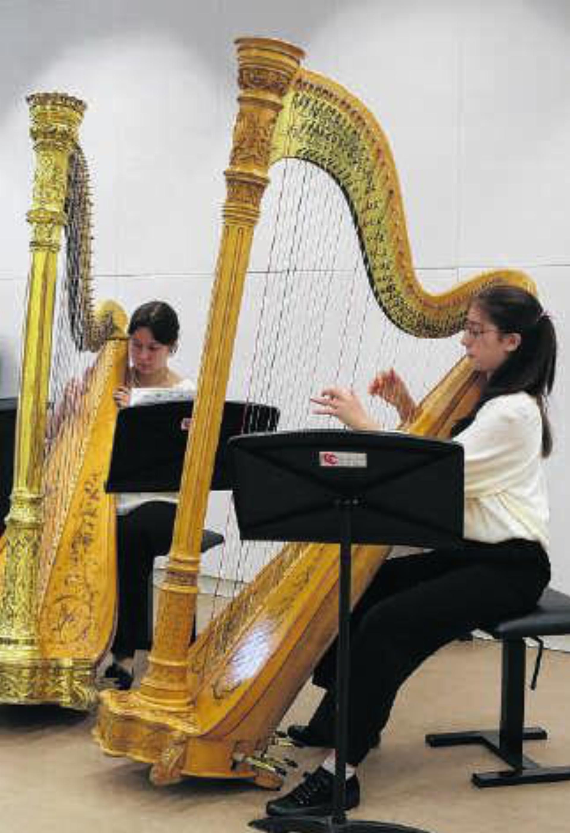 MUSIKSCHULE LEIMENTAL