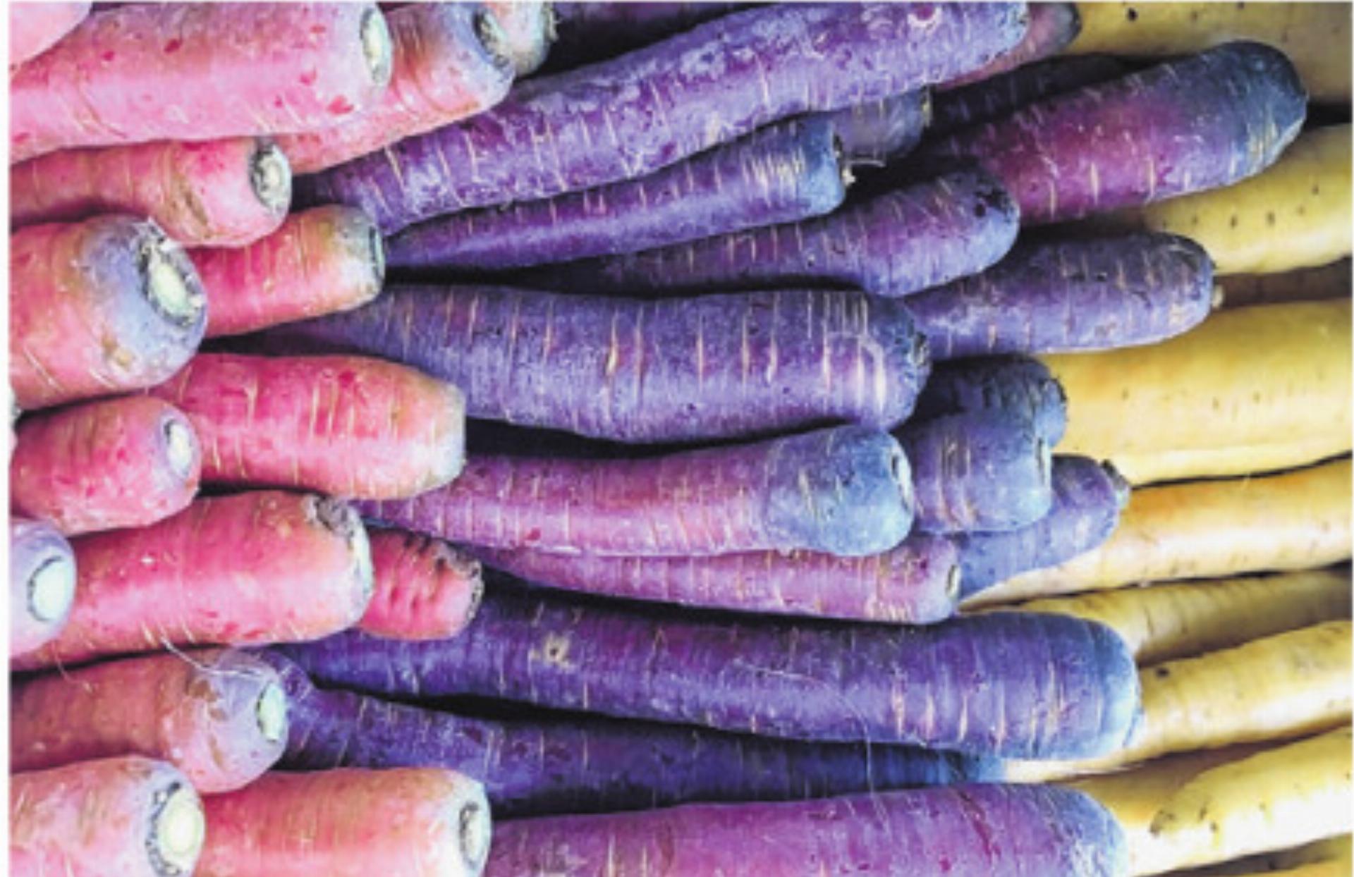 Familie Saccavino - Das Bild wird blockiert. – Möglicherweise durch einen aktiven Adblocker.