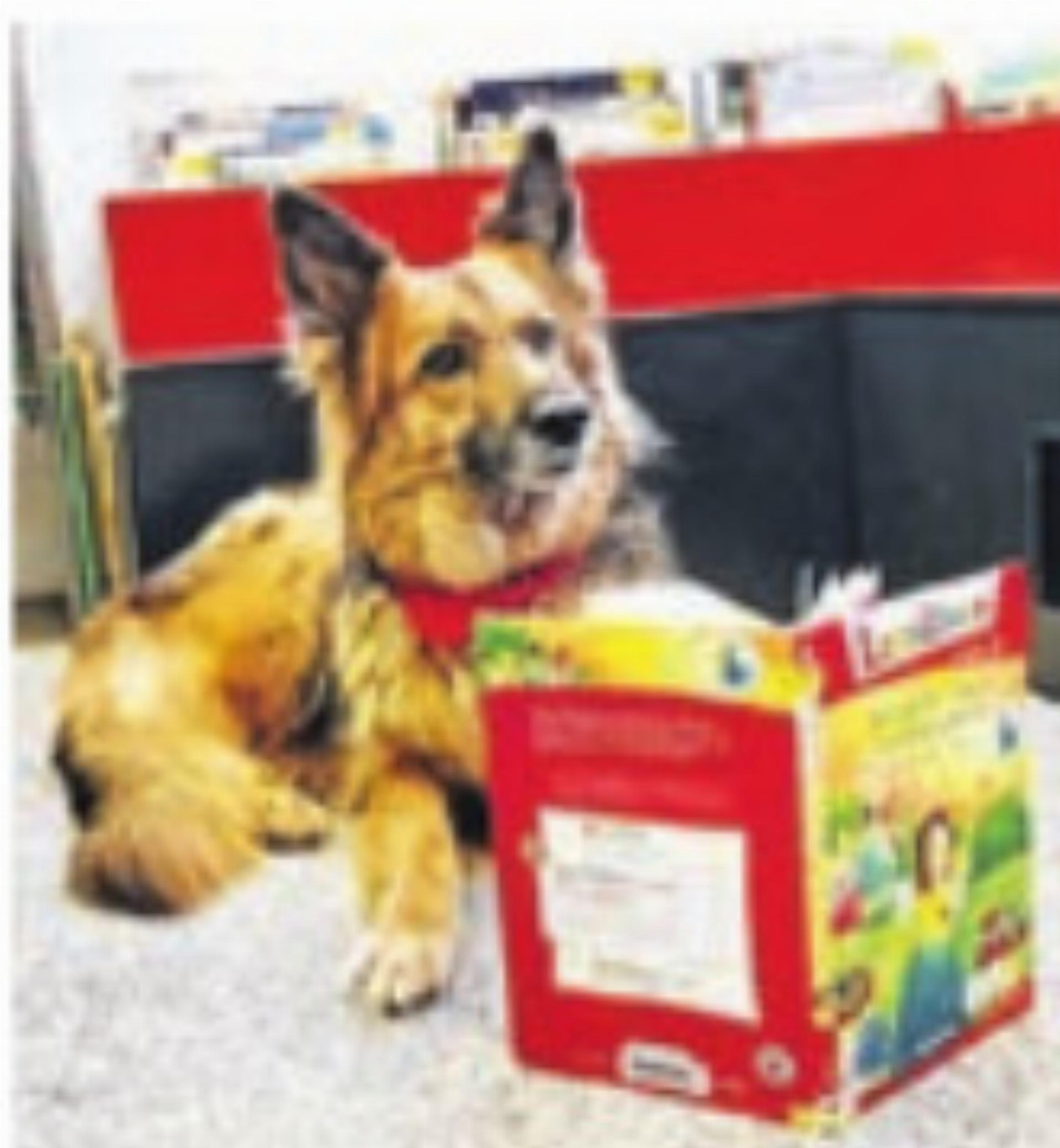 Lesehund Boy - Das Bild wird blockiert. – Möglicherweise durch einen aktiven Adblocker.