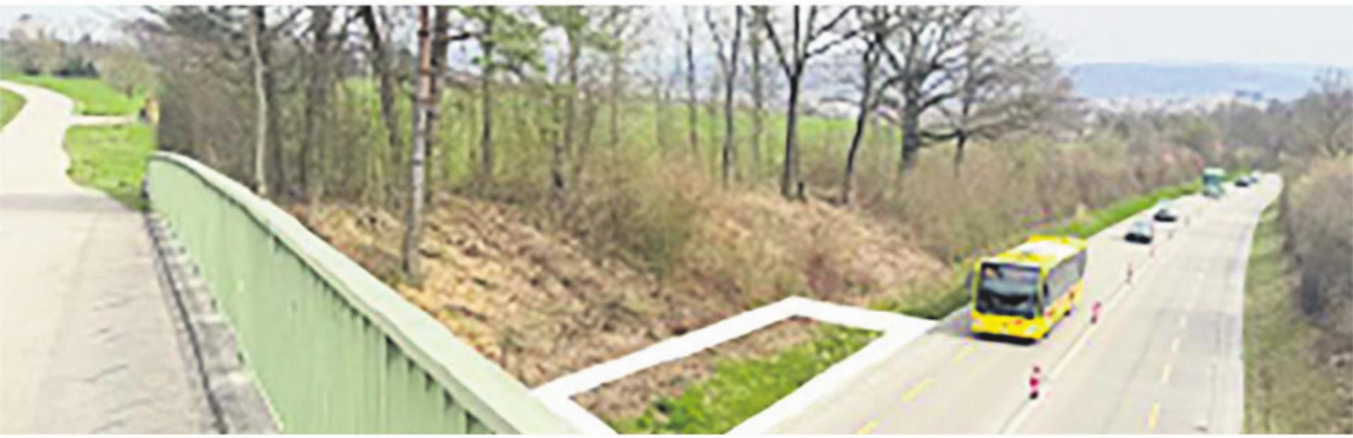 Bushaltestelle auf dem Bruderholz - Das Bild wird blockiert. – Möglicherweise durch einen aktiven Adblocker.