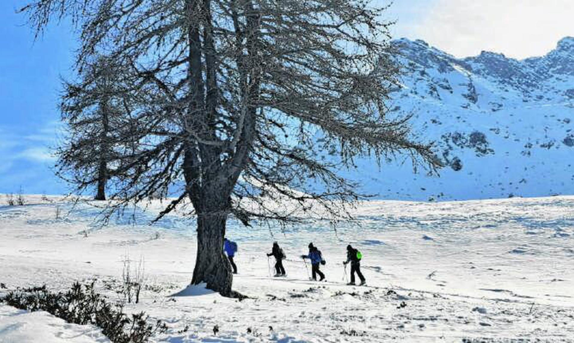 Skitourenlager 2026 - Das Bild wird blockiert. – Möglicherweise durch einen aktiven Adblocker.