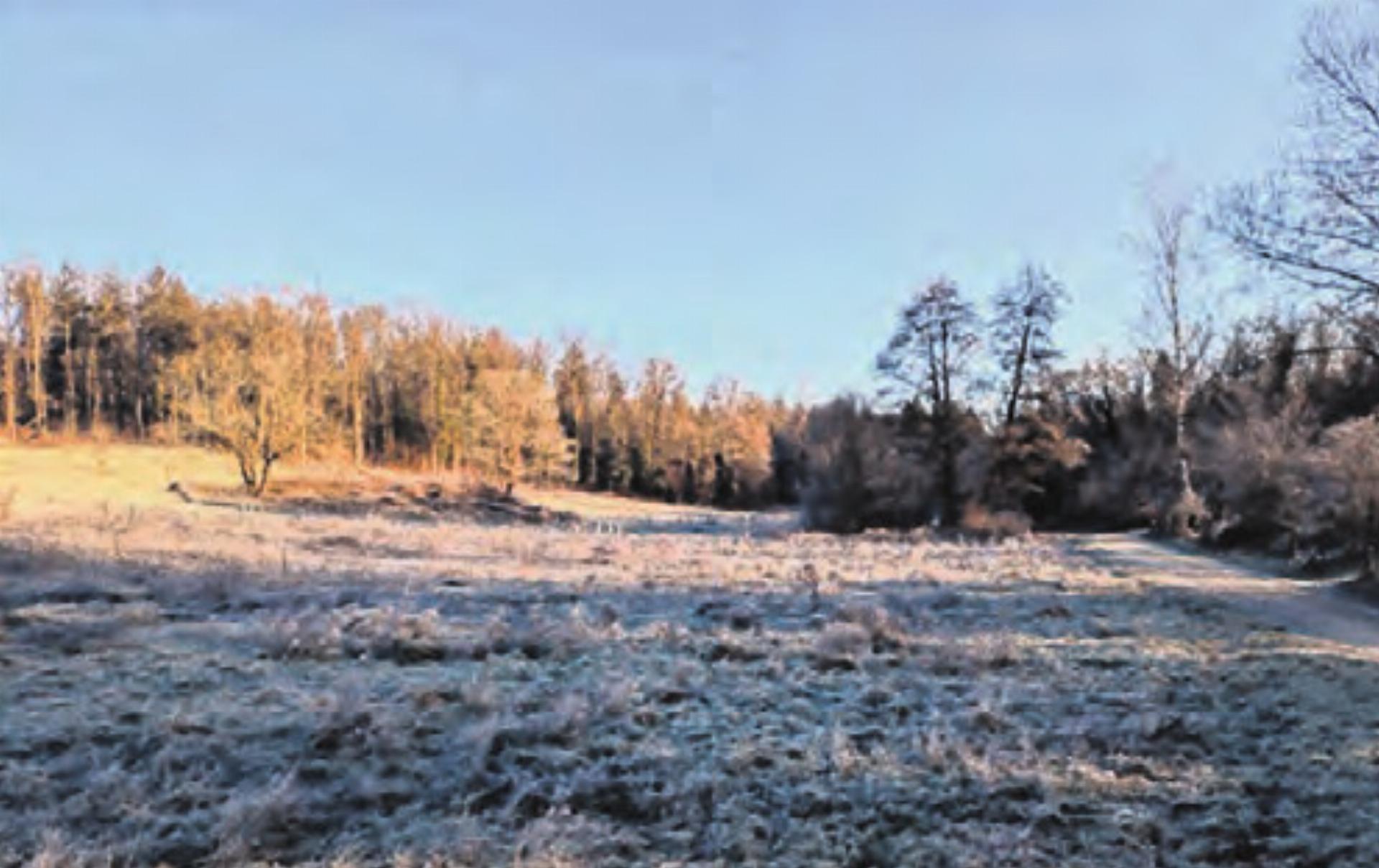 Neue Pacht für die landwirtschaftlichen Parzellen beim Mooswasen: Zukunftspläne für Natur und Biodiversität