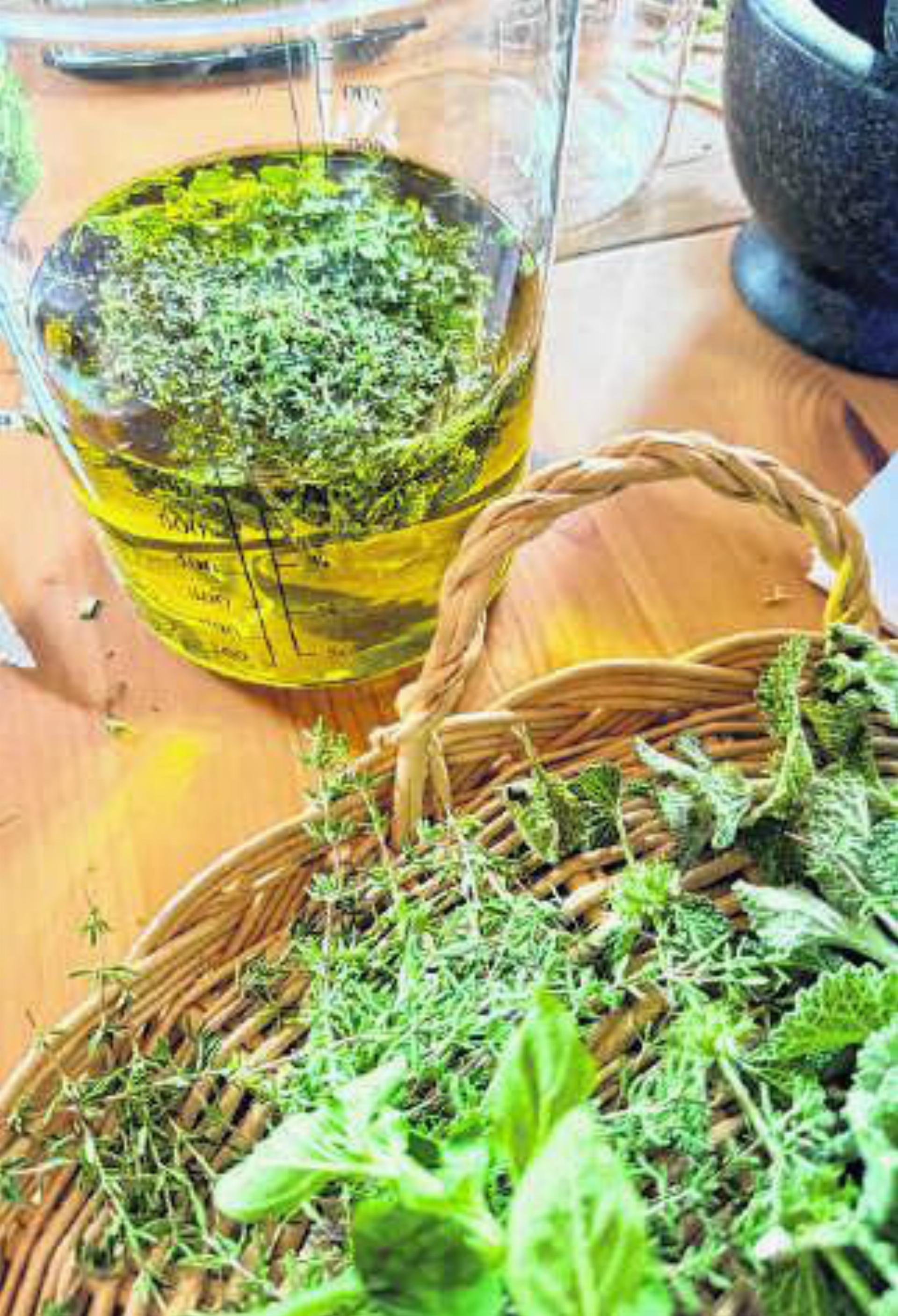 Heilpflanzen-Workshop «Natürliche Regeneration für den Bewegungsapparat» - Das Bild wird blockiert. – Möglicherweise durch einen aktiven Adblocker.