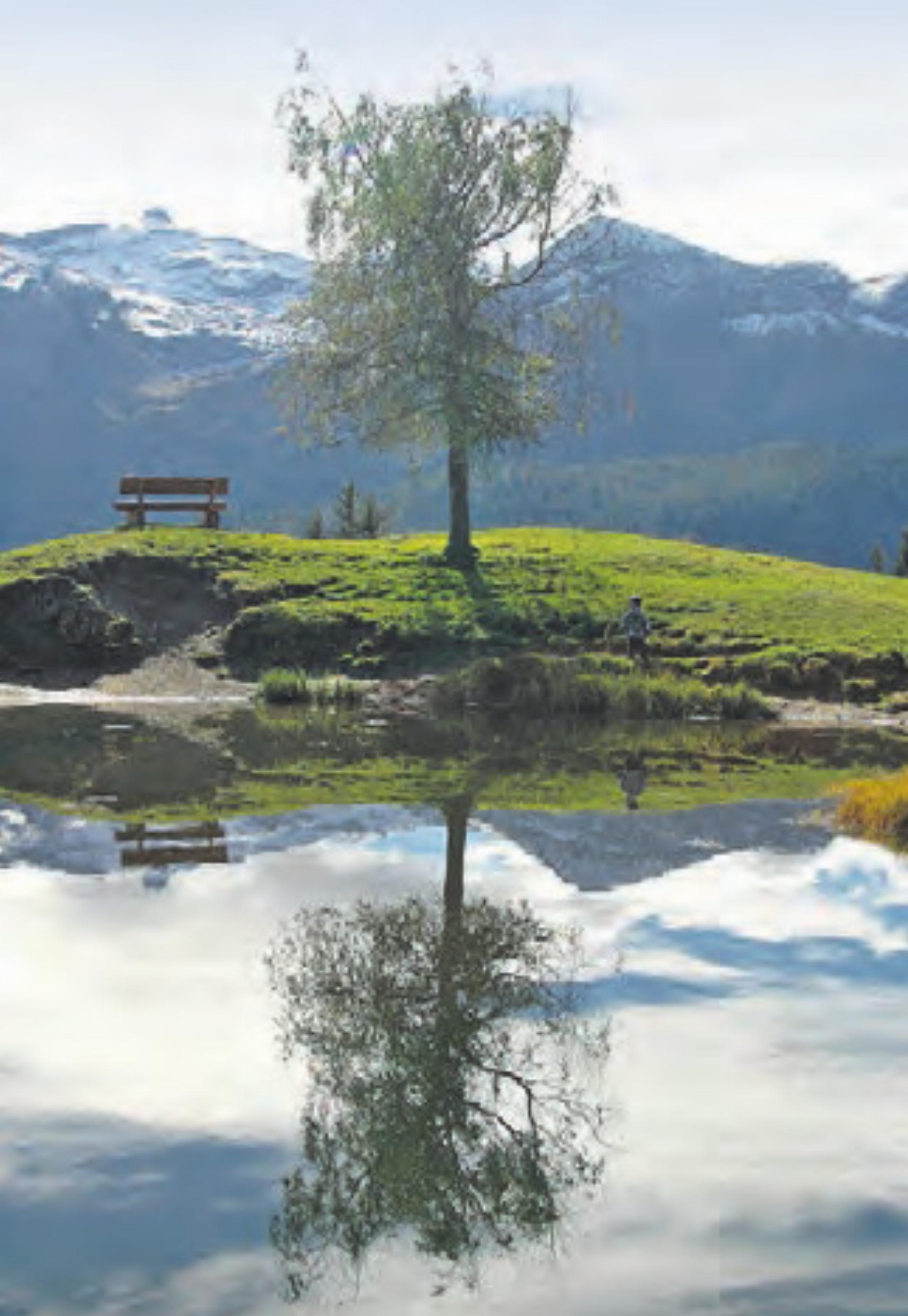 VERANSTALTUNGEN UND GOTTESDIENSTE