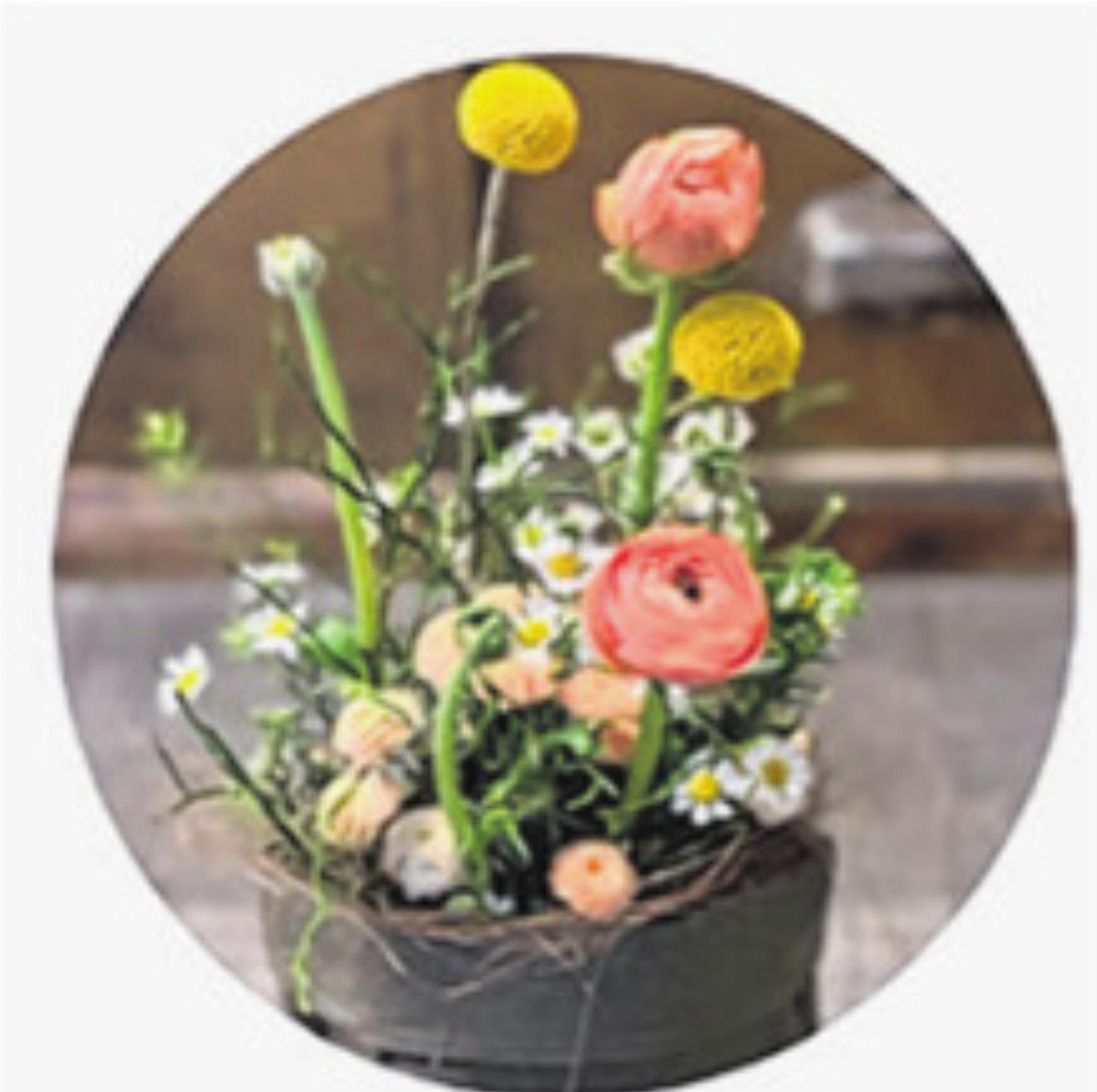 GEMEINDE- UND SCHULBIBLIOTHEK THERWIL - Das Bild wird blockiert. – Möglicherweise durch einen aktiven Adblocker.