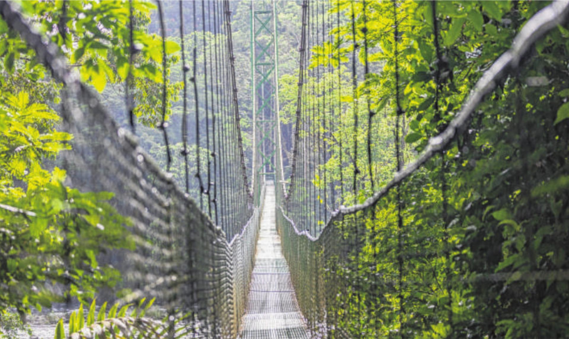 Fotografien mit Sonderausstellung «Costa Rica» - Das Bild wird blockiert. – Möglicherweise durch einen aktiven Adblocker.