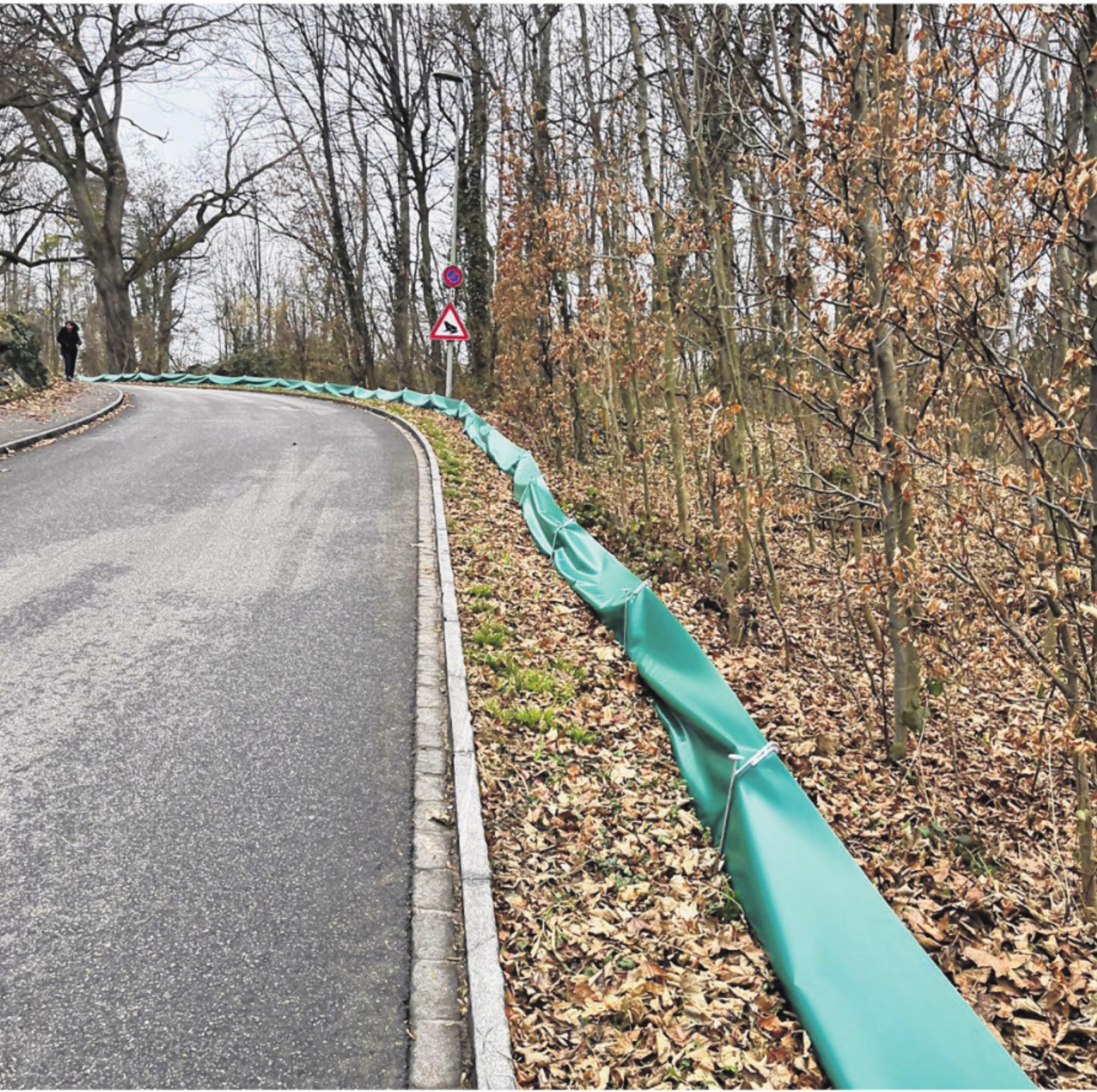 Wanderschaft der Amphibien - Das Bild wird blockiert. – Möglicherweise durch einen aktiven Adblocker.