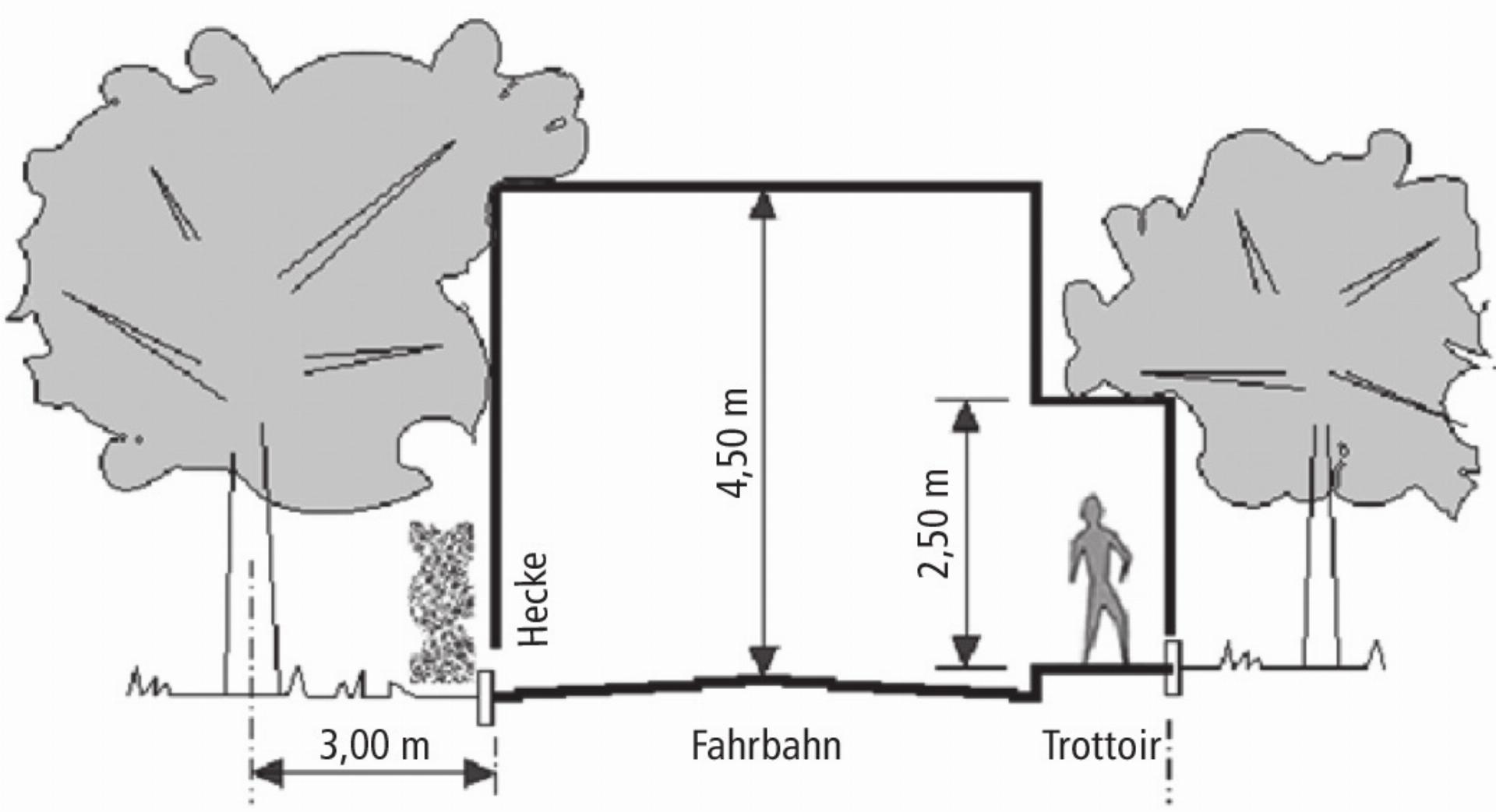 Rückschnitt von Hecken und Bäumen - Das Bild wird blockiert. – Möglicherweise durch einen aktiven Adblocker.