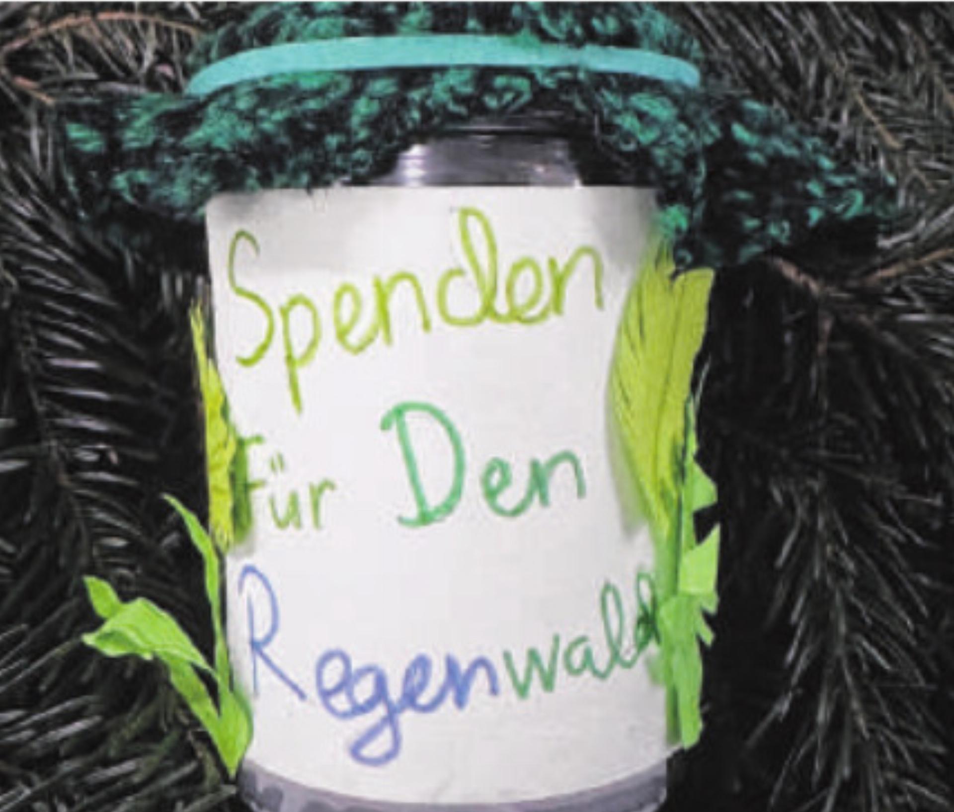 Einsatz zum Schutz des Regenwaldes - Das Bild wird blockiert. – Möglicherweise durch einen aktiven Adblocker.