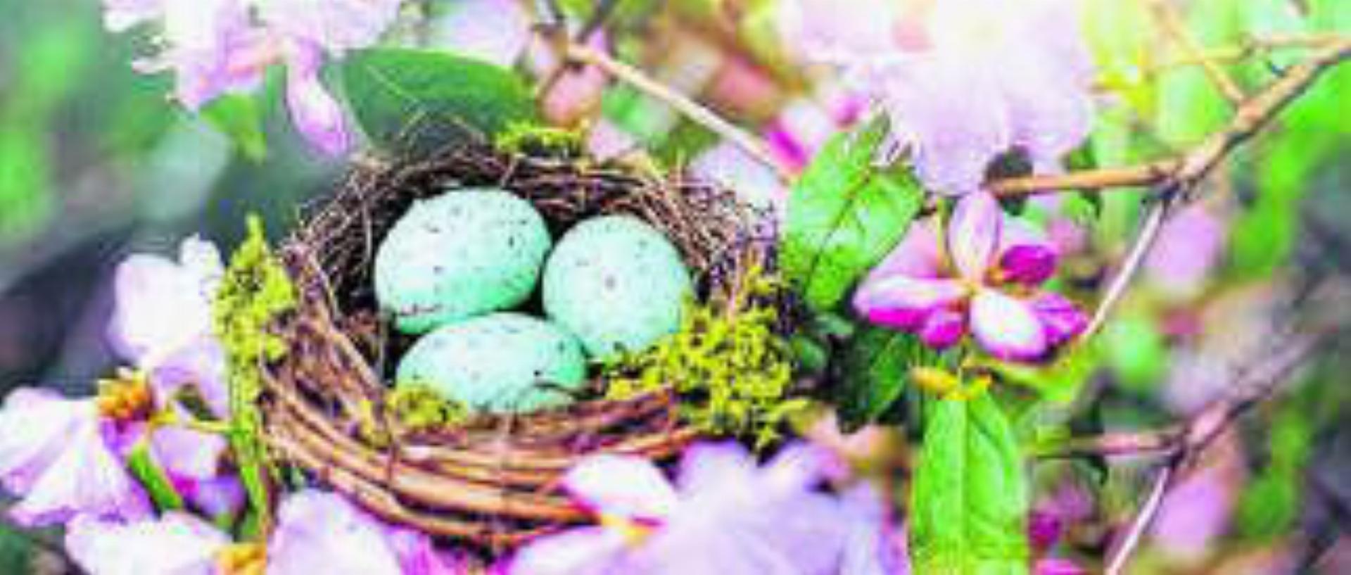 Das BOZ wünscht frohe Ostern!