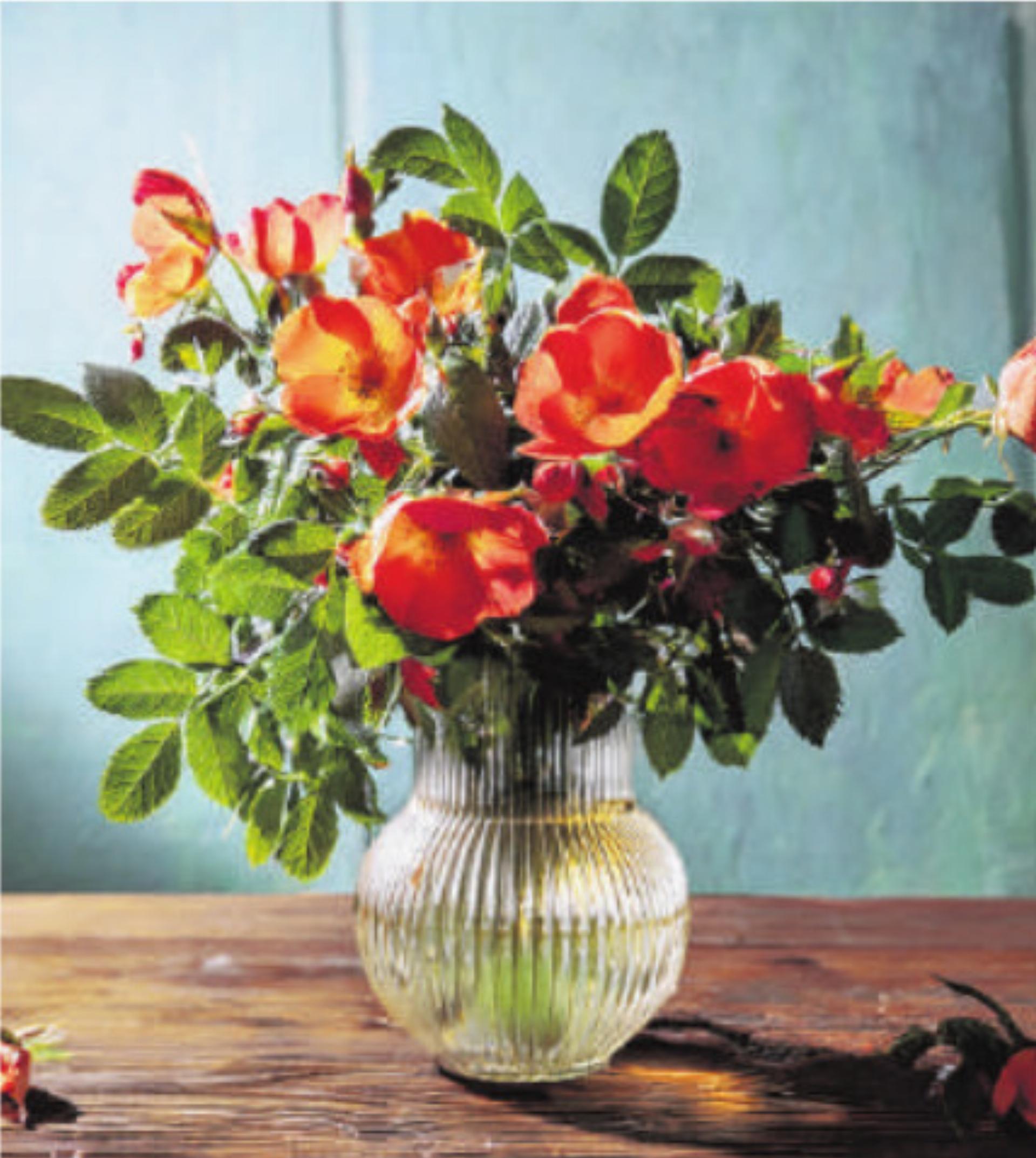 Geburtstag - Das Bild wird blockiert. – Möglicherweise durch einen aktiven Adblocker.