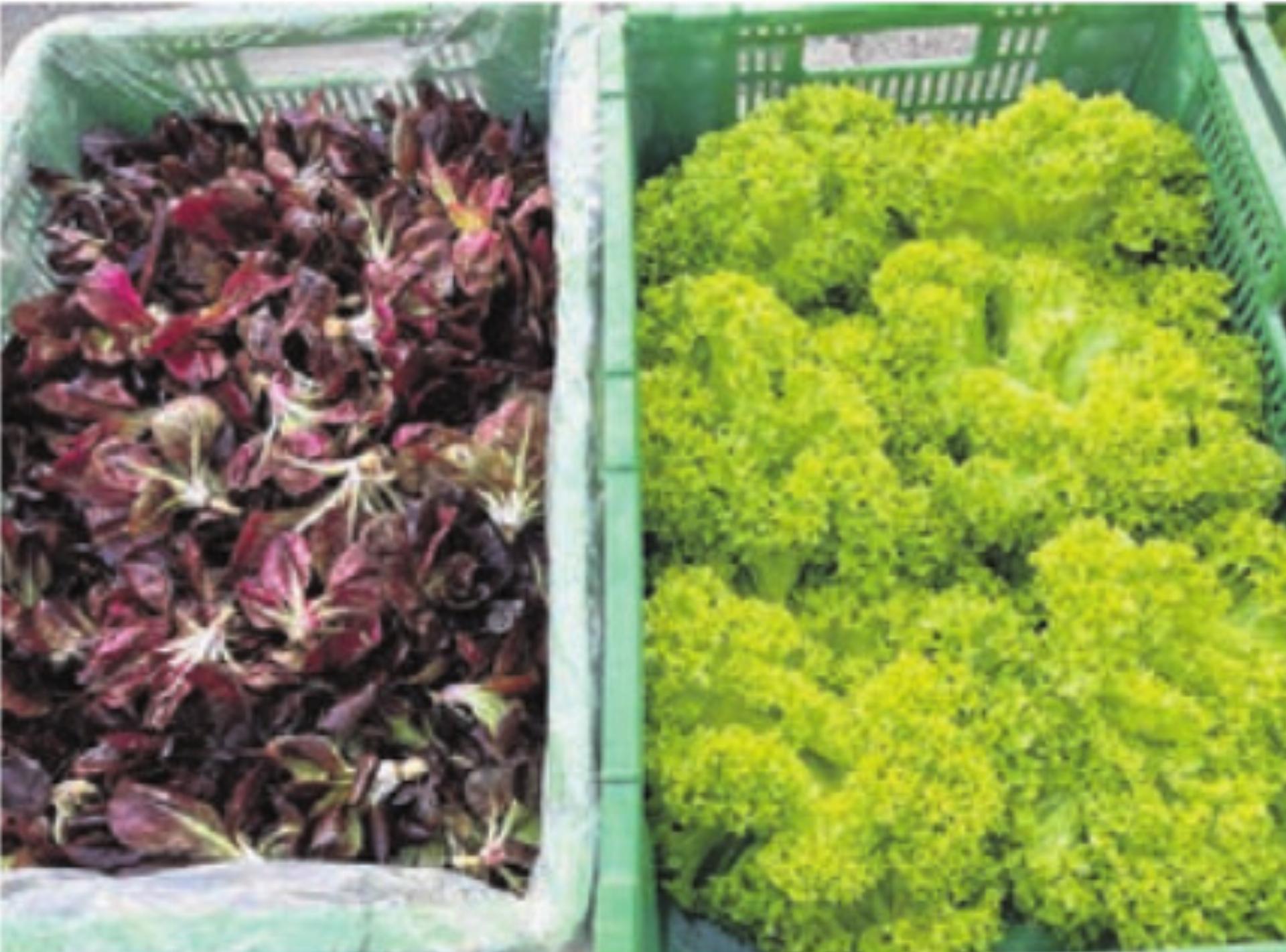 Frühling, Frühling ..! - Das Bild wird blockiert. – Möglicherweise durch einen aktiven Adblocker.