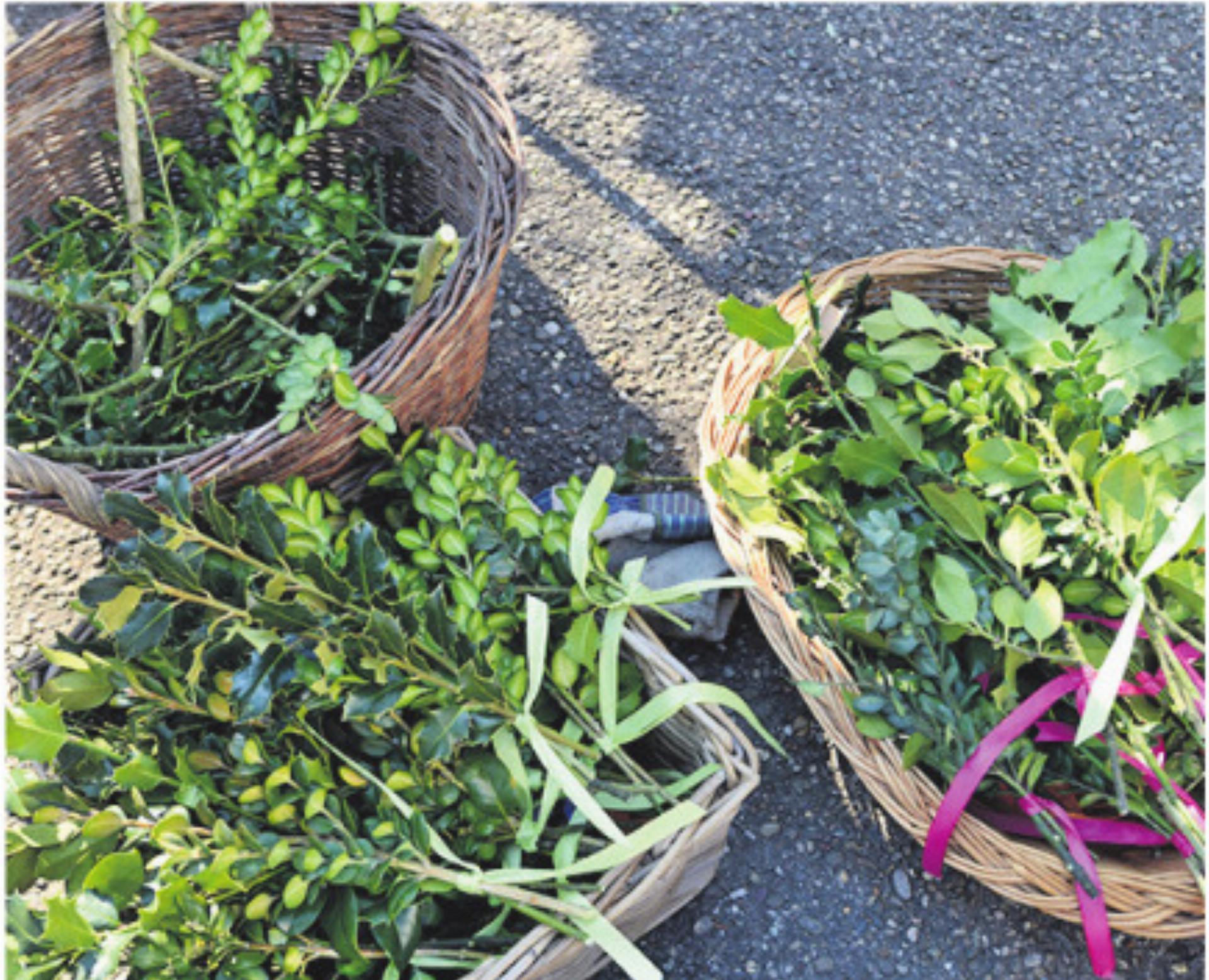 VERANSTALTUNGEN UND GOTTESDIENSTE - Das Bild wird blockiert. – Möglicherweise durch einen aktiven Adblocker.