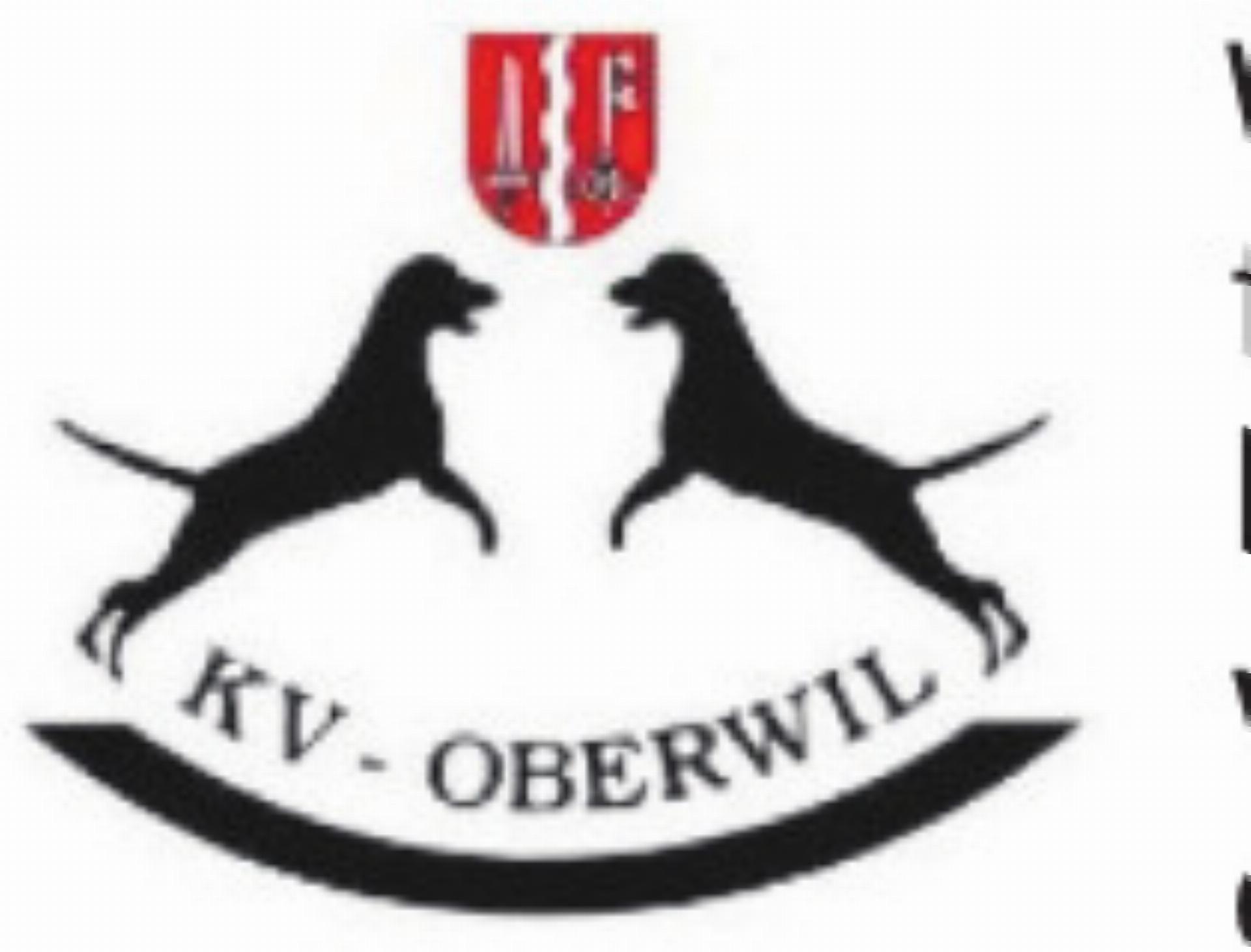 Welpenlernstunden - Das Bild wird blockiert. – Möglicherweise durch einen aktiven Adblocker.