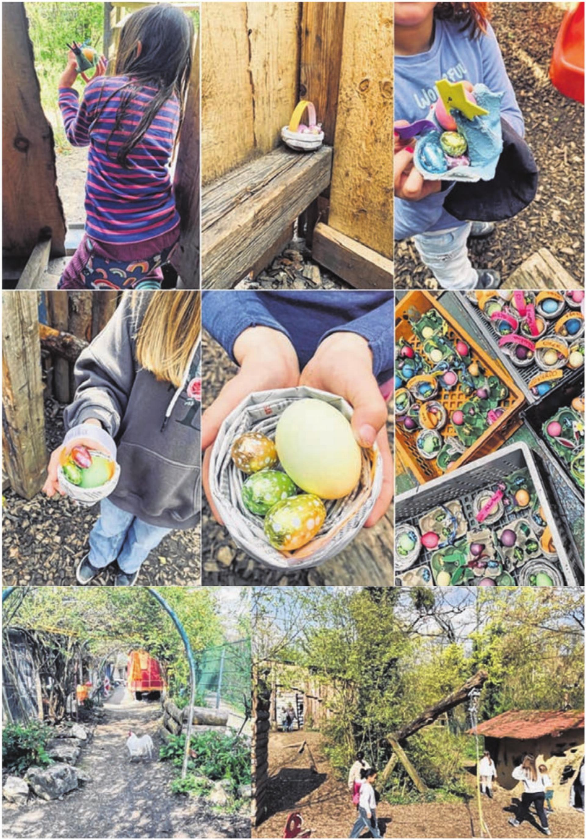 Osternester suchen auf dem schönsten Robinsonspielplatz von Binningen - Das Bild wird blockiert. – Möglicherweise durch einen aktiven Adblocker.