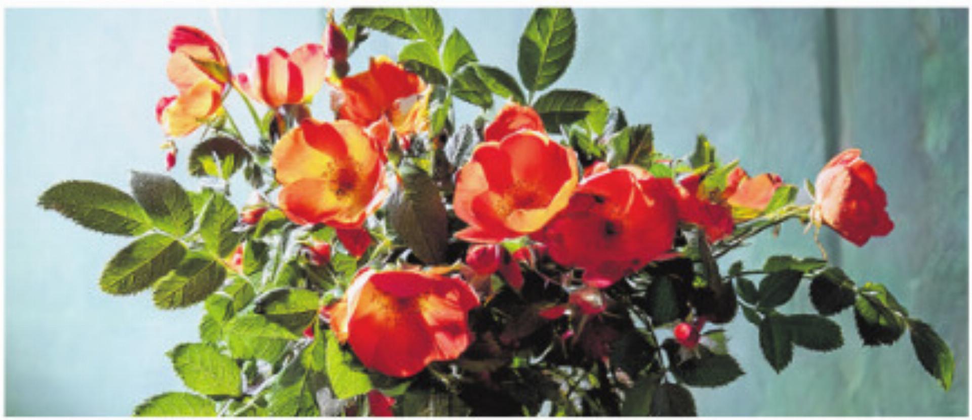 GRATULATIONEN - Das Bild wird blockiert. – Möglicherweise durch einen aktiven Adblocker.