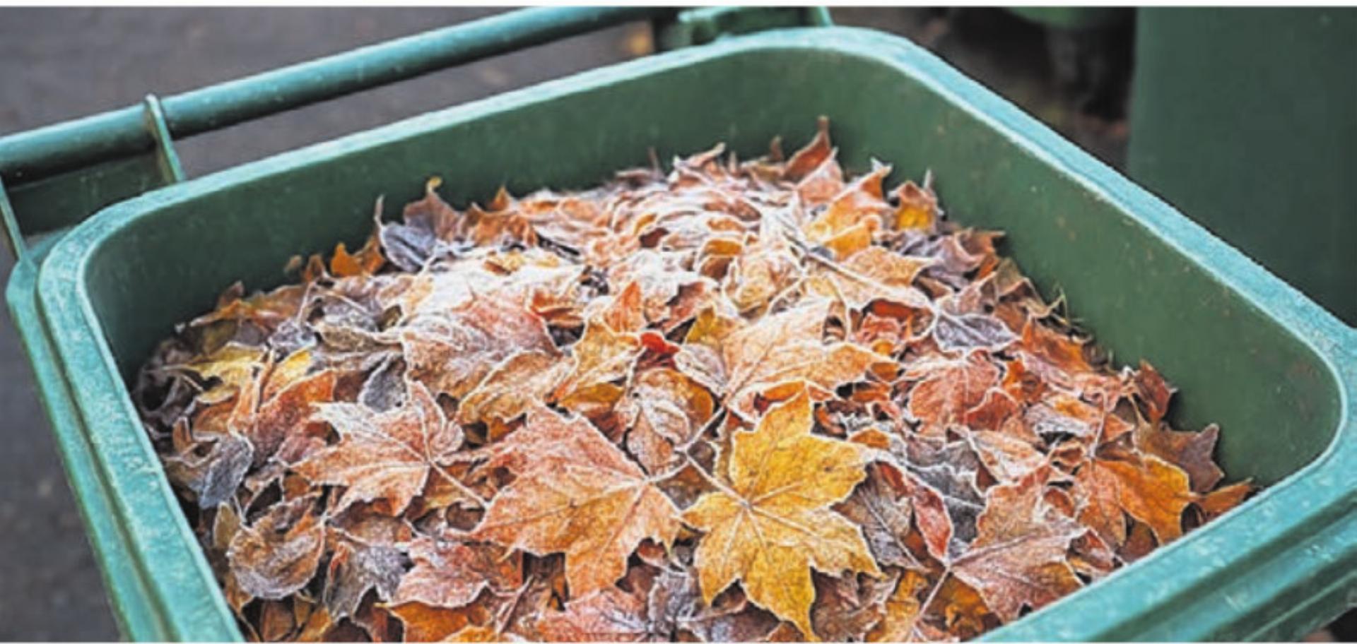 Gefrorene Biocontainer im Winter – Tipps für eine reibungslose Entsorgung - Das Bild wird blockiert. – Möglicherweise durch einen aktiven Adblocker.