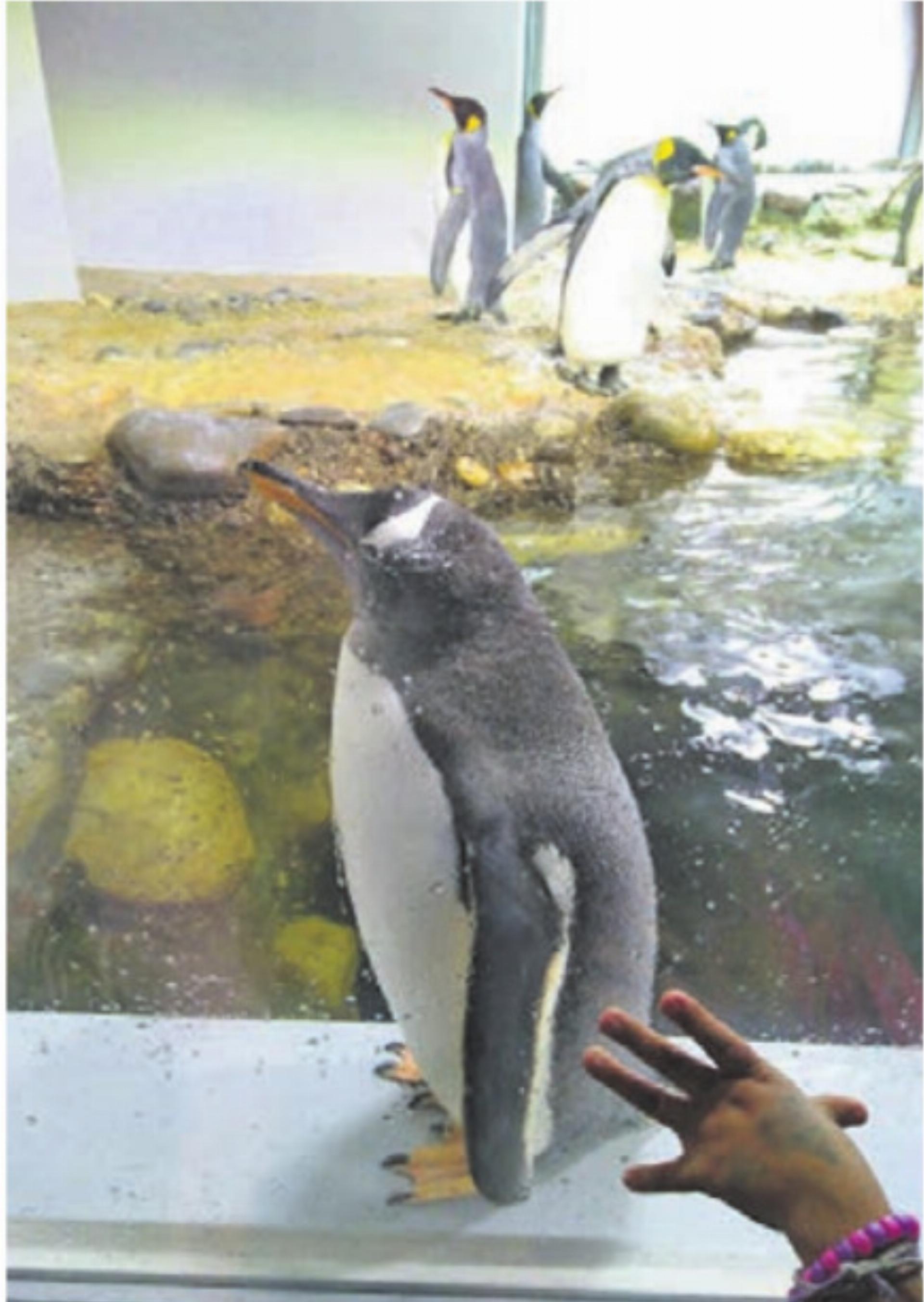 VERANSTALTUNGEN UND  GOTTESDIENSTE - Das Bild wird blockiert. – Möglicherweise durch einen aktiven Adblocker.