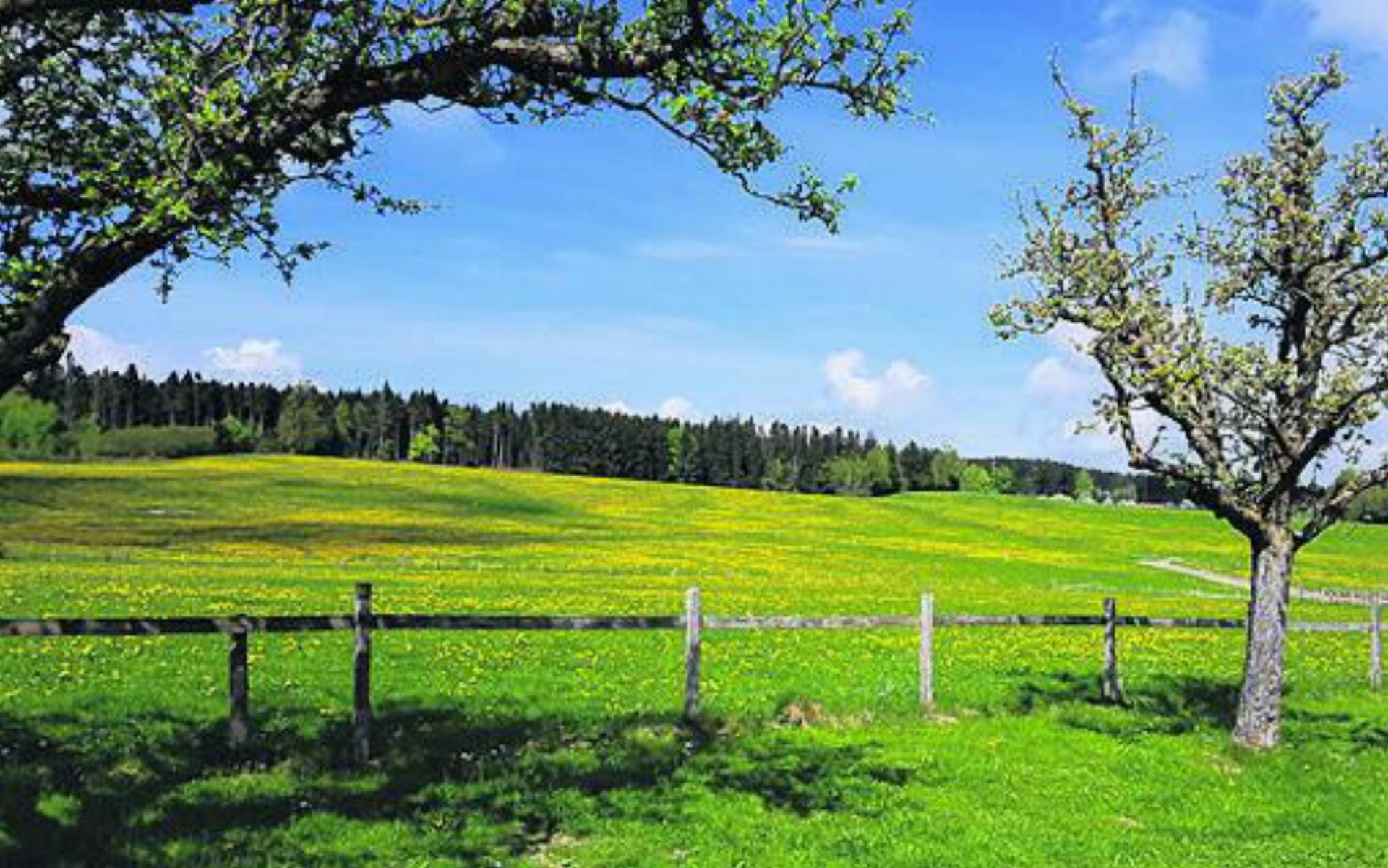 Wanderung von Laufenburg nach Sulz