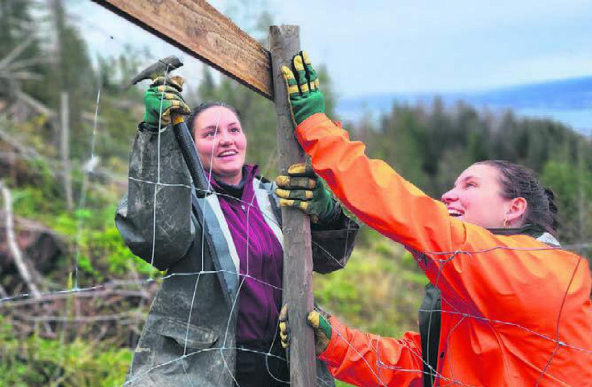 Das Bergwaldprojekt sucht Freiwillige