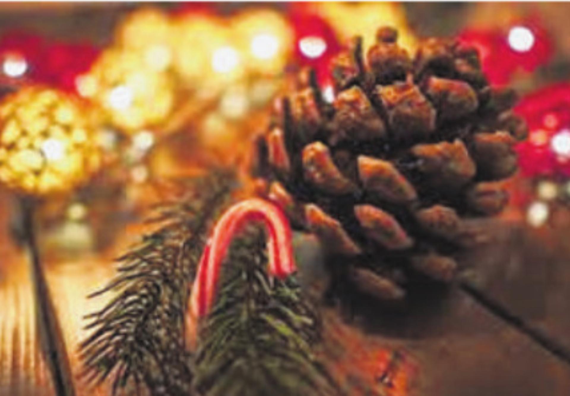 Weihnachtsaktion 2025 - Das Bild wird blockiert. – Möglicherweise durch einen aktiven Adblocker.