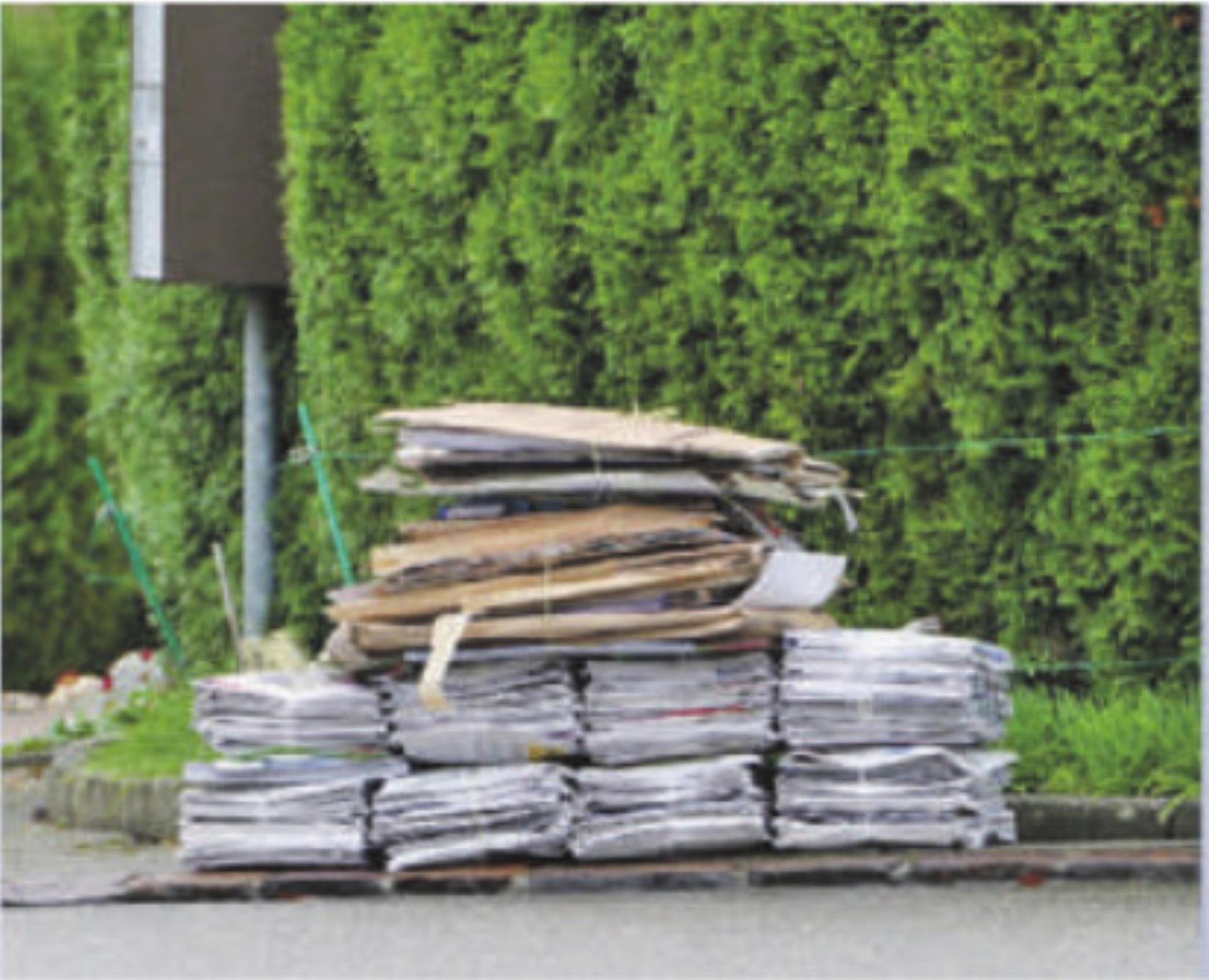 Papier und Karton einfach und effizient entsorgen – jetzt Container bestellen! - Das Bild wird blockiert. – Möglicherweise durch einen aktiven Adblocker.
