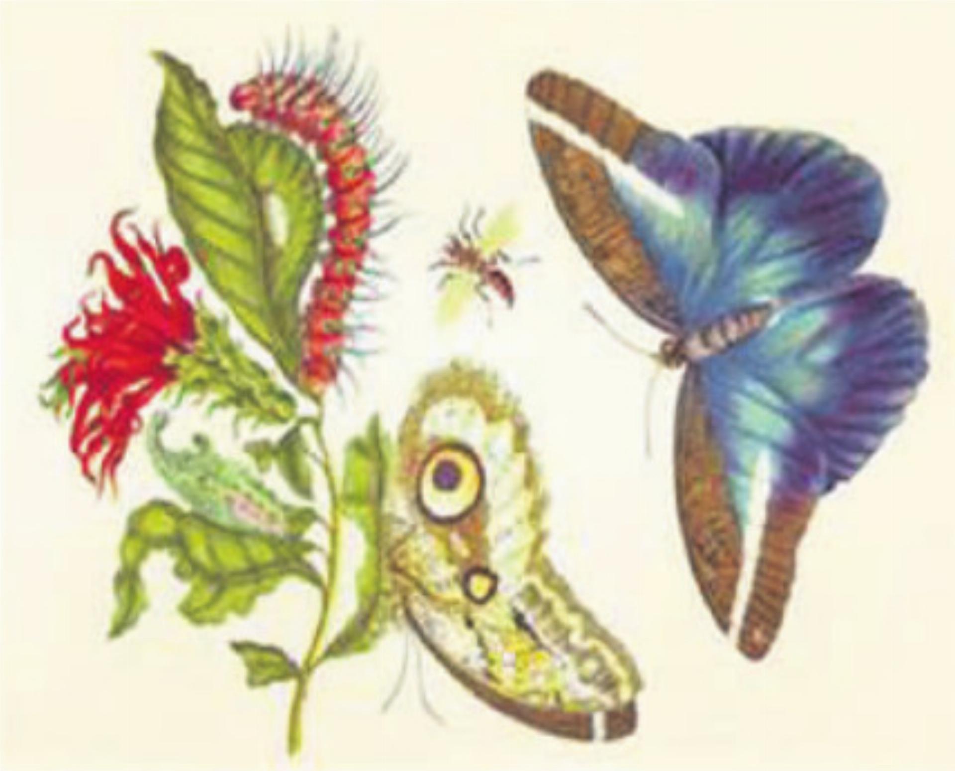 Gemeindenachmittag - Das Bild wird blockiert. – Möglicherweise durch einen aktiven Adblocker.