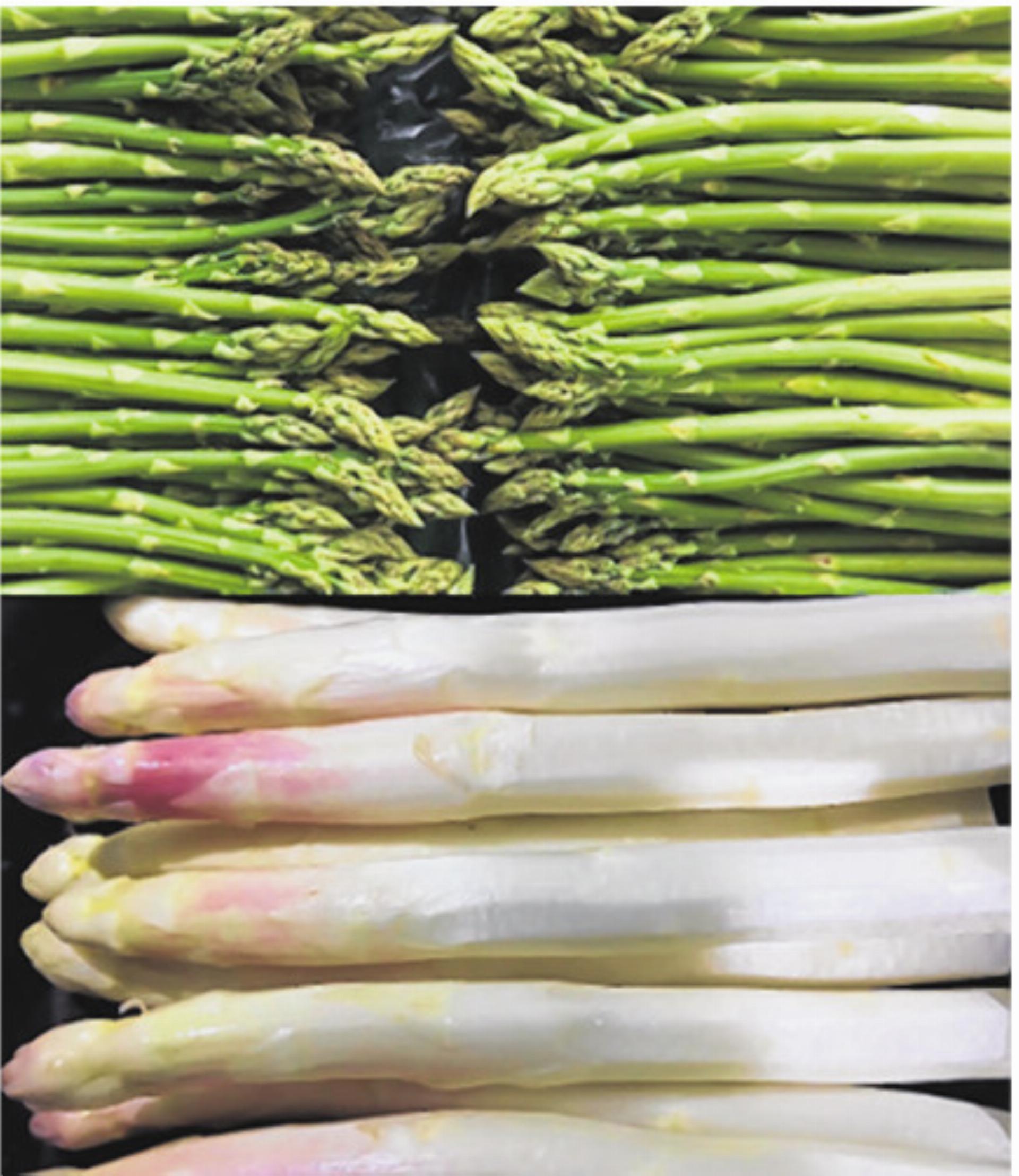 Grüne oder weisse? - Das Bild wird blockiert. – Möglicherweise durch einen aktiven Adblocker.