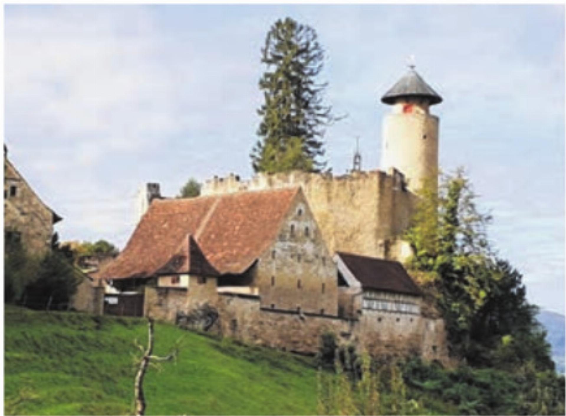 Von Burg zu Burg im Birseck - Das Bild wird blockiert. – Möglicherweise durch einen aktiven Adblocker.