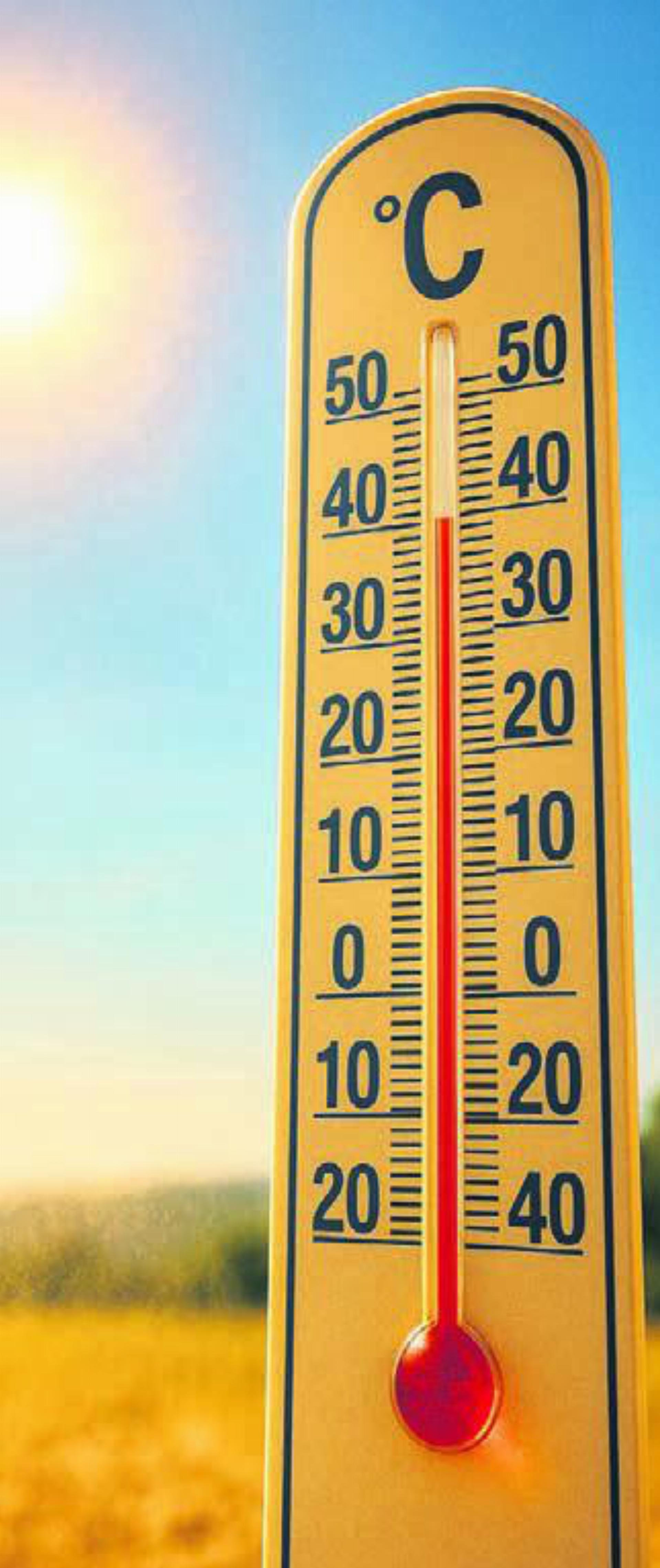 Viel Sonne, viel Gesprächsstoff