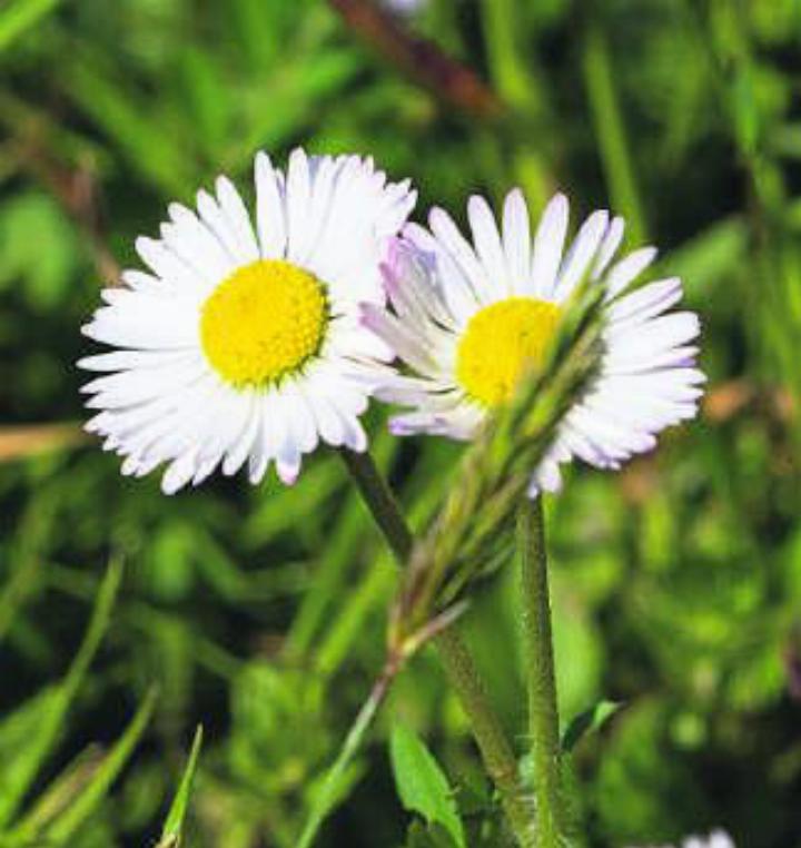 Hochzeit