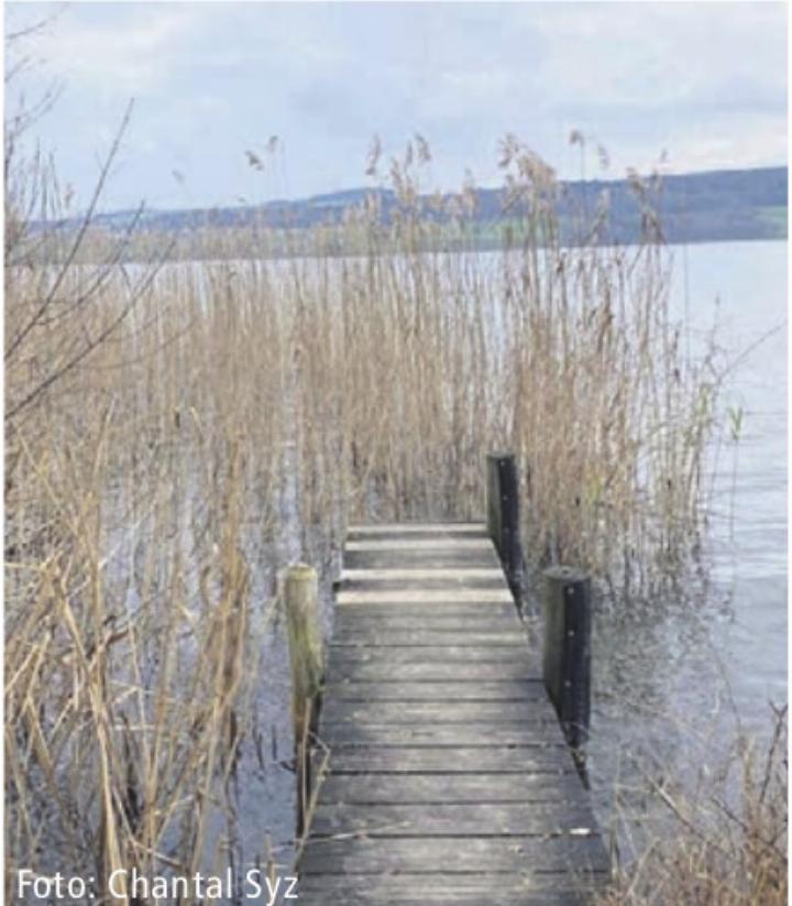 Foto: Chantal Syz Foto: Chantal Syz