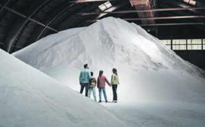 Foto: Saline Rheinfelden