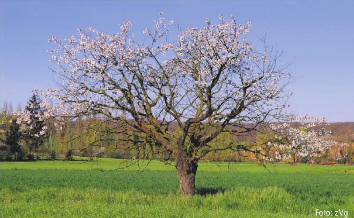 Foto: zVg