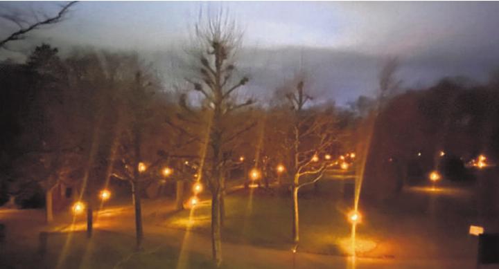 Besinnliche Stimmung auf dem Friedhof Rüti Besinnliche Stimmung auf dem Friedhof Rüti