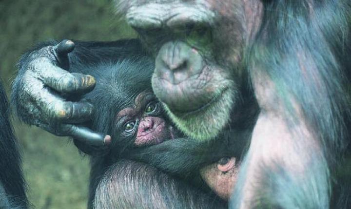 Foto: Zoo Basel
