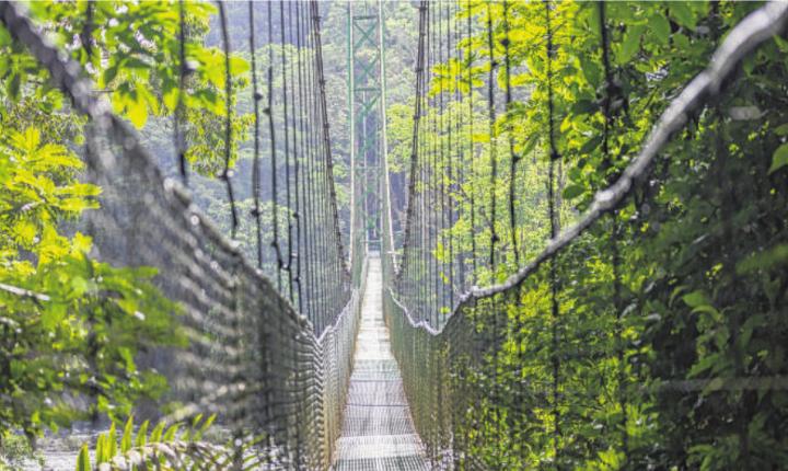 Längste Hängebrücke von Costa Rica. Foto: Thomas Weyl Längste Hängebrücke von Costa Rica. Foto: Thomas Weyl