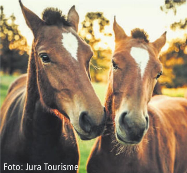 Foto: Jura Tourisme Foto: Jura Tourisme