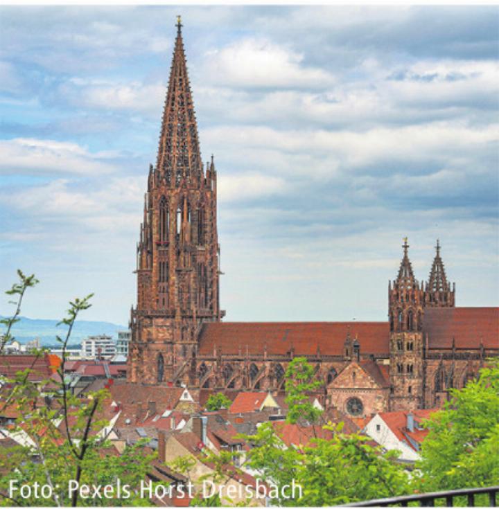 Foto: Pexels Horst Dreisbach